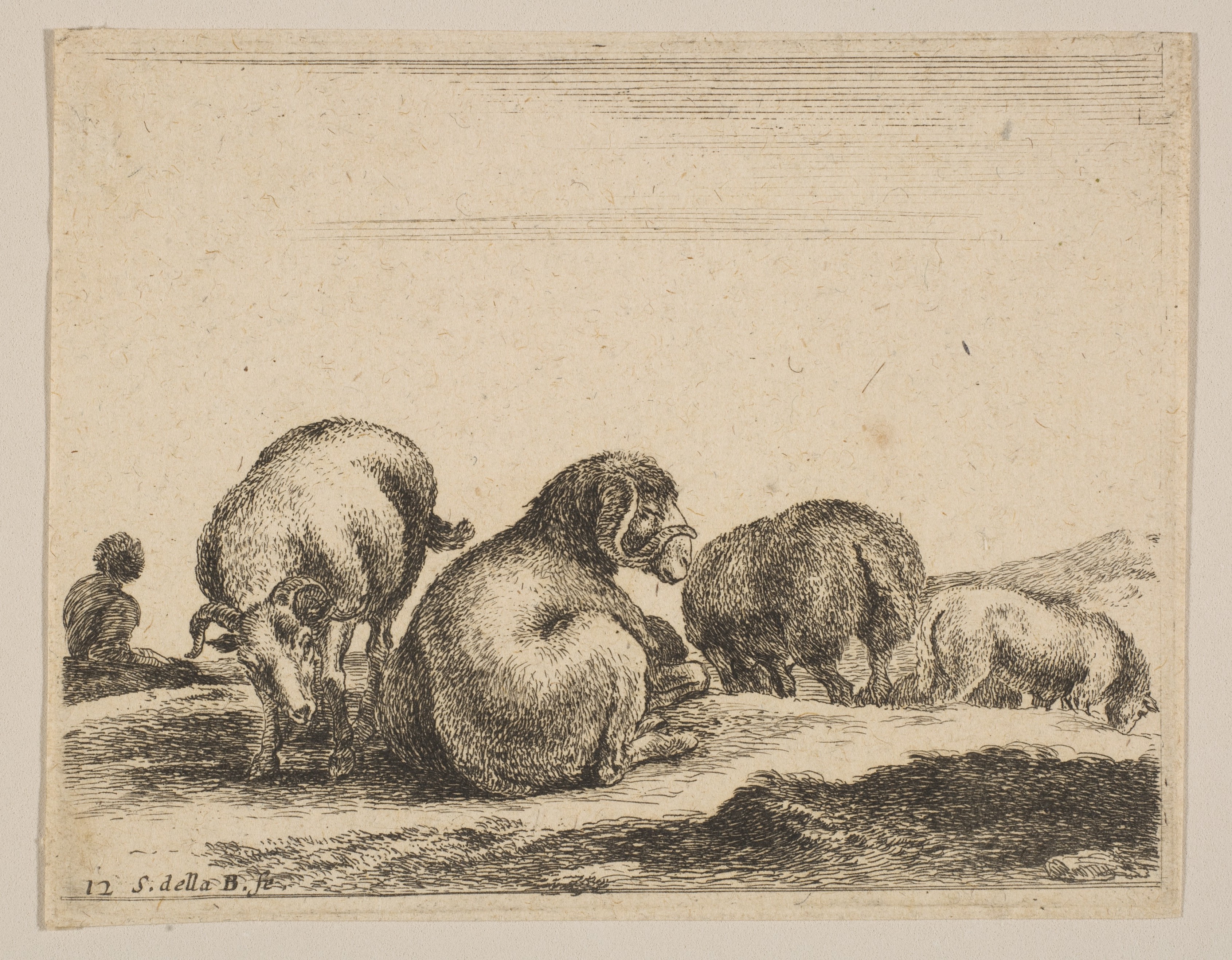 Etching of Resting Sheep with Shepherd