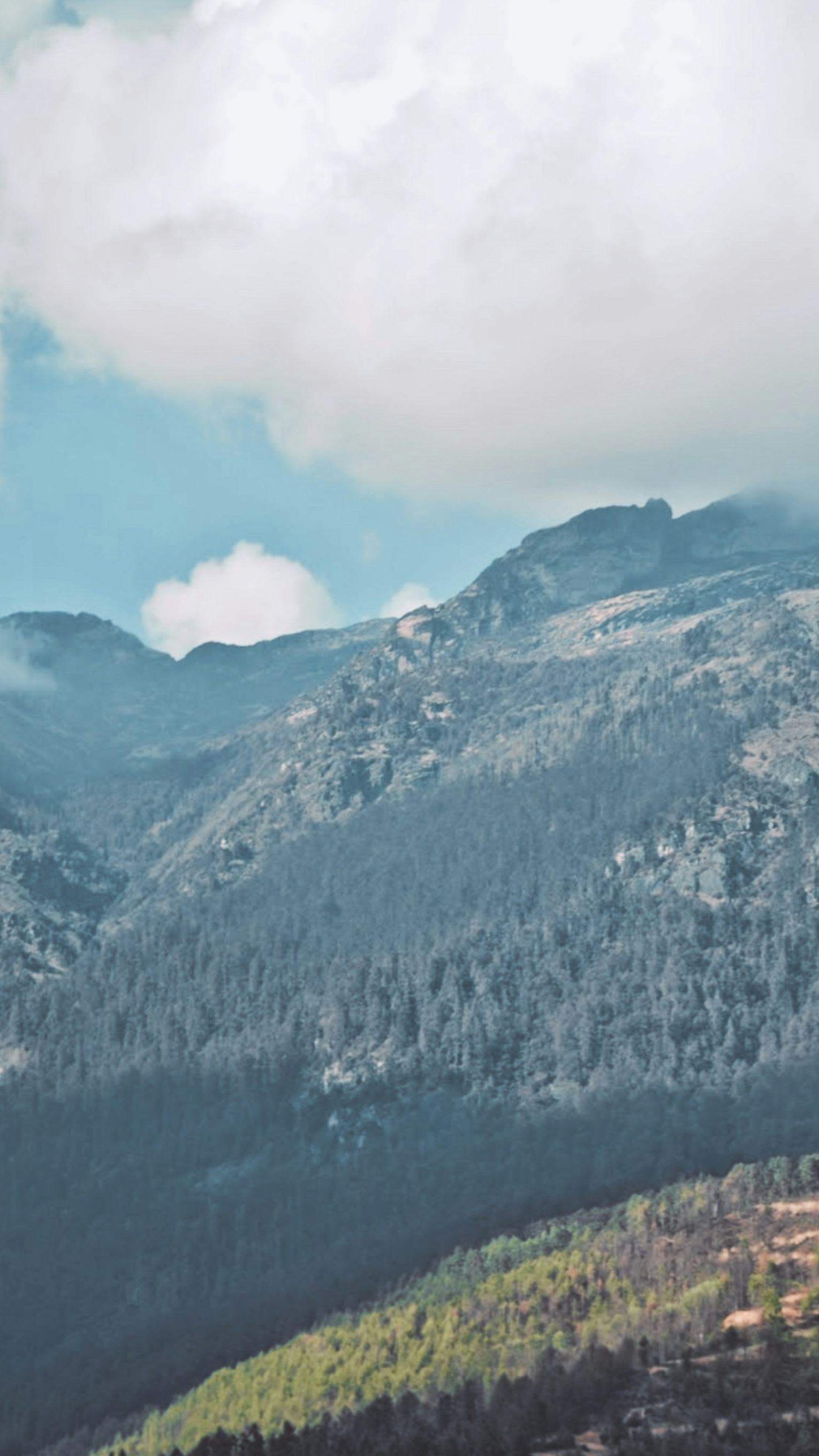 Landscapes