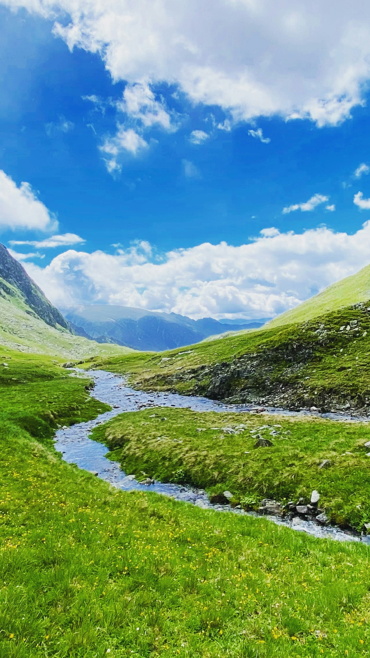 Wallpapers