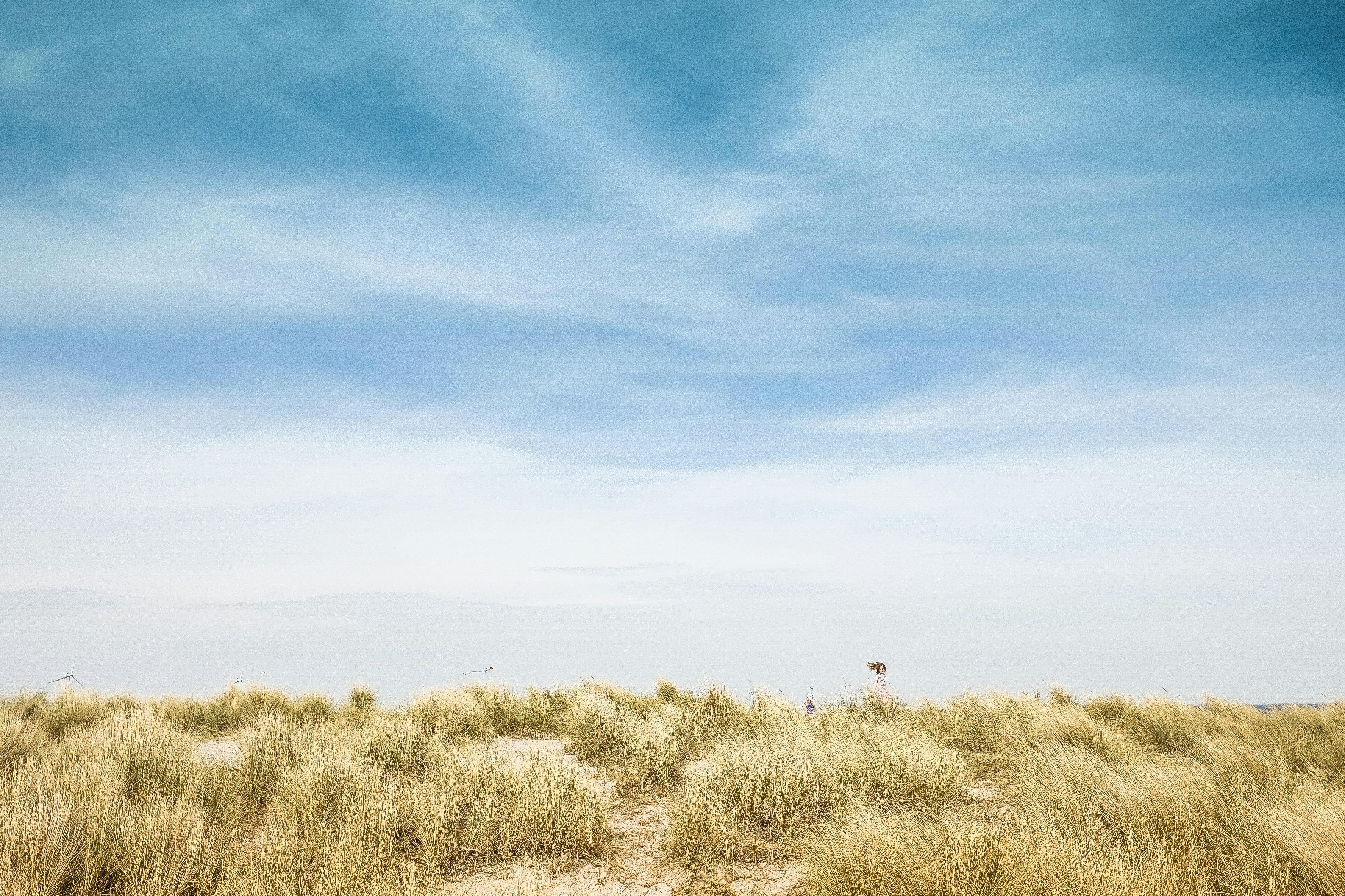 Coastal Sand Dunes Under Blue Sky