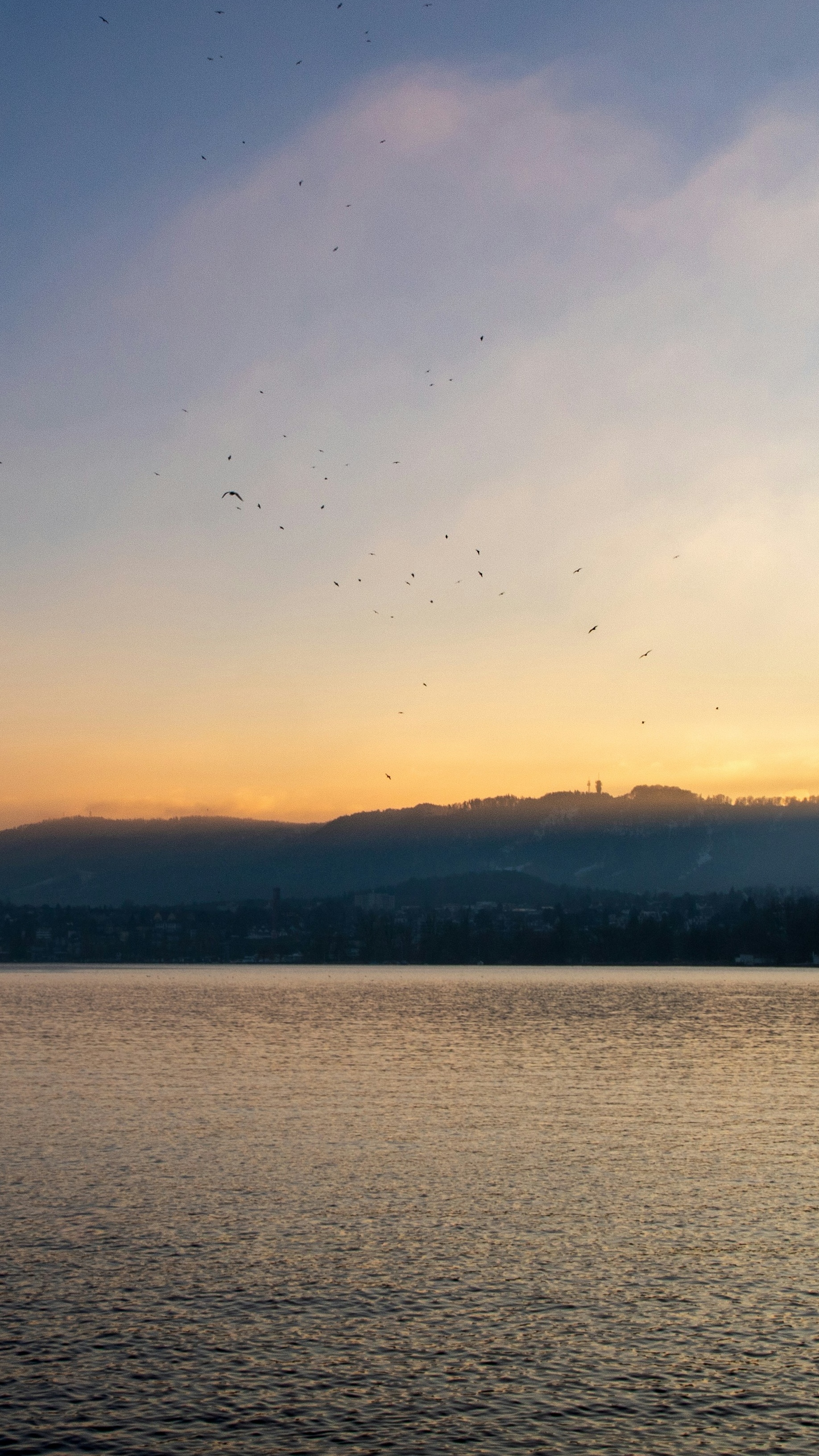 Landscapes