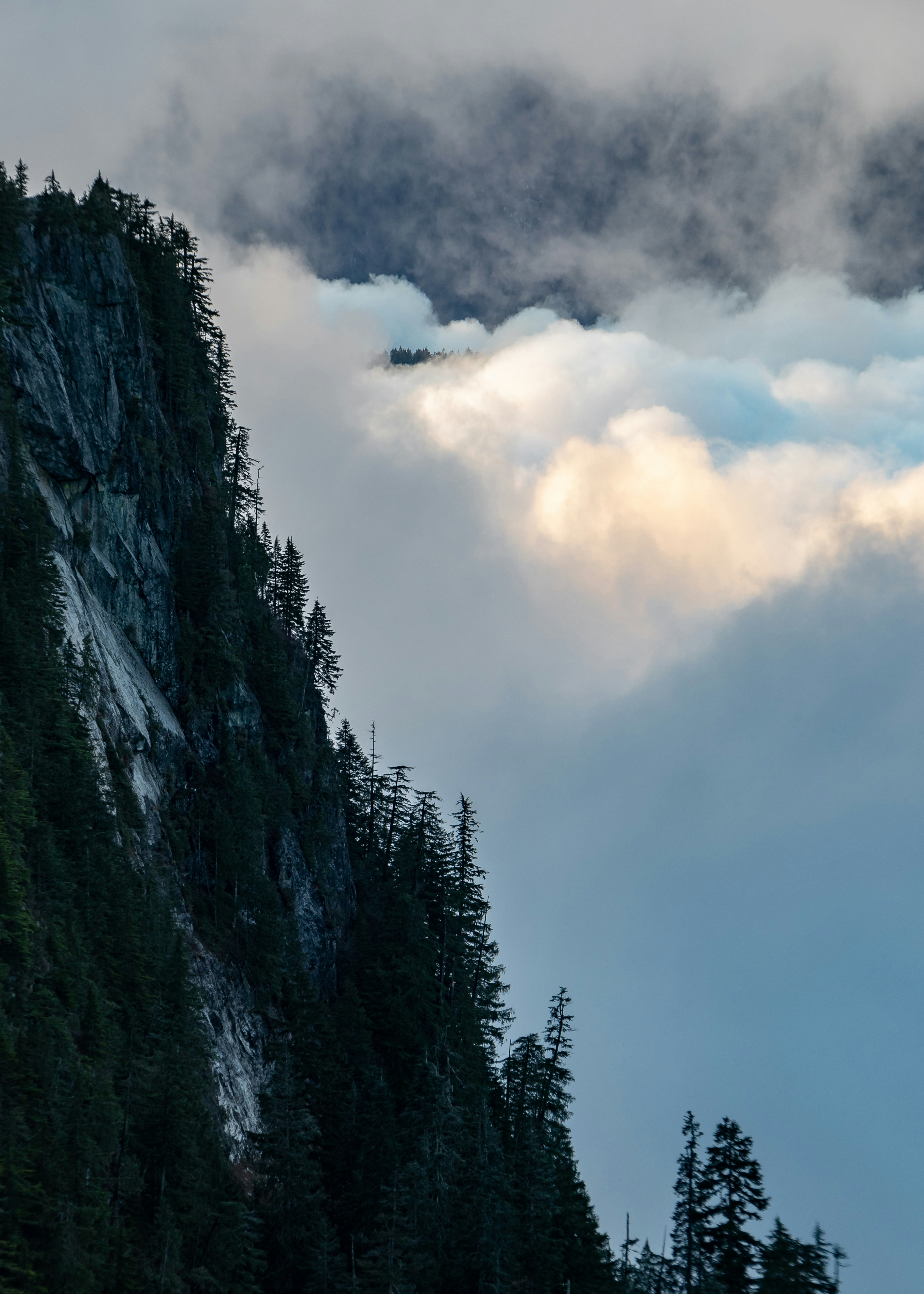 Forested Cliff among Low Clouds