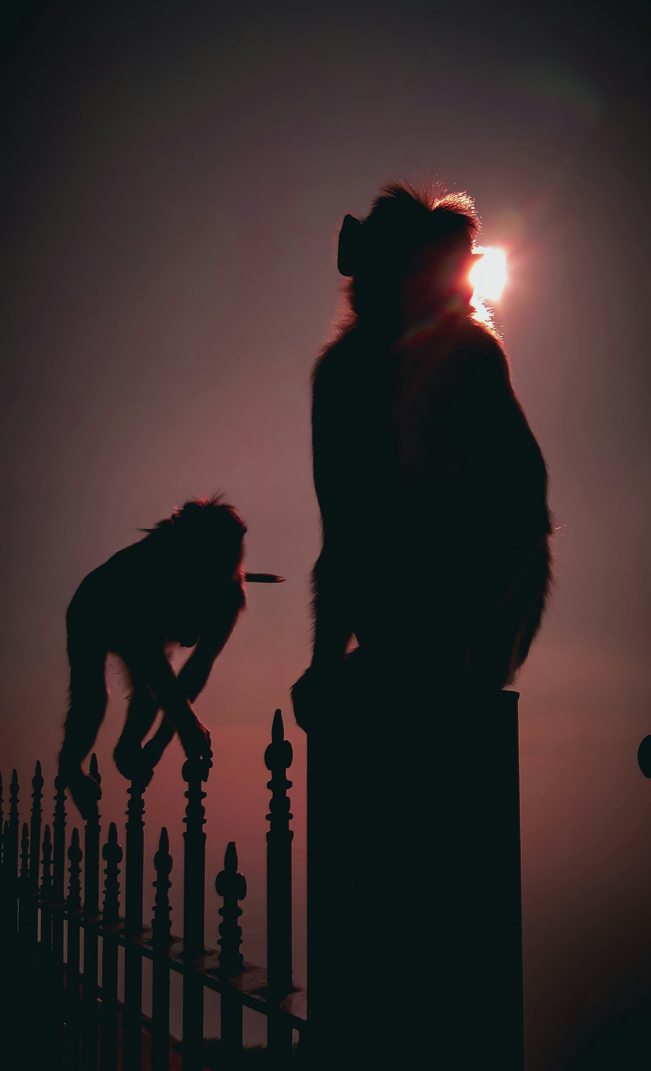Wallpapers