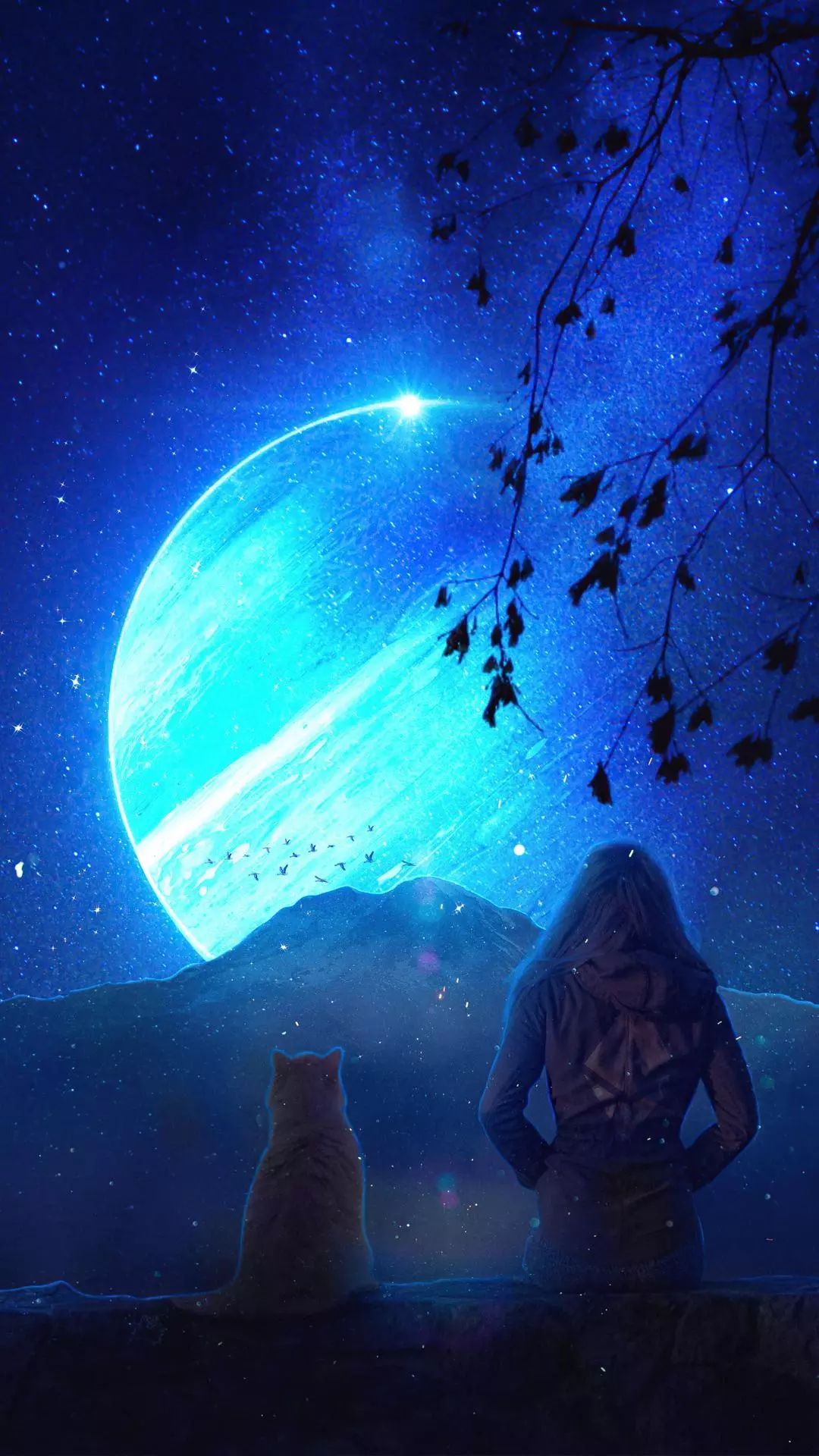 Wallpapers
