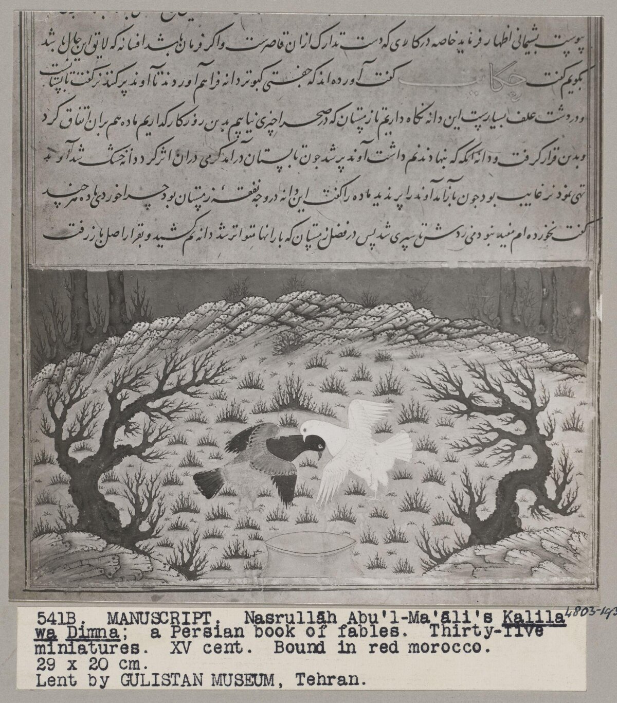 Kalila wa Dimna Manuscript Miniature