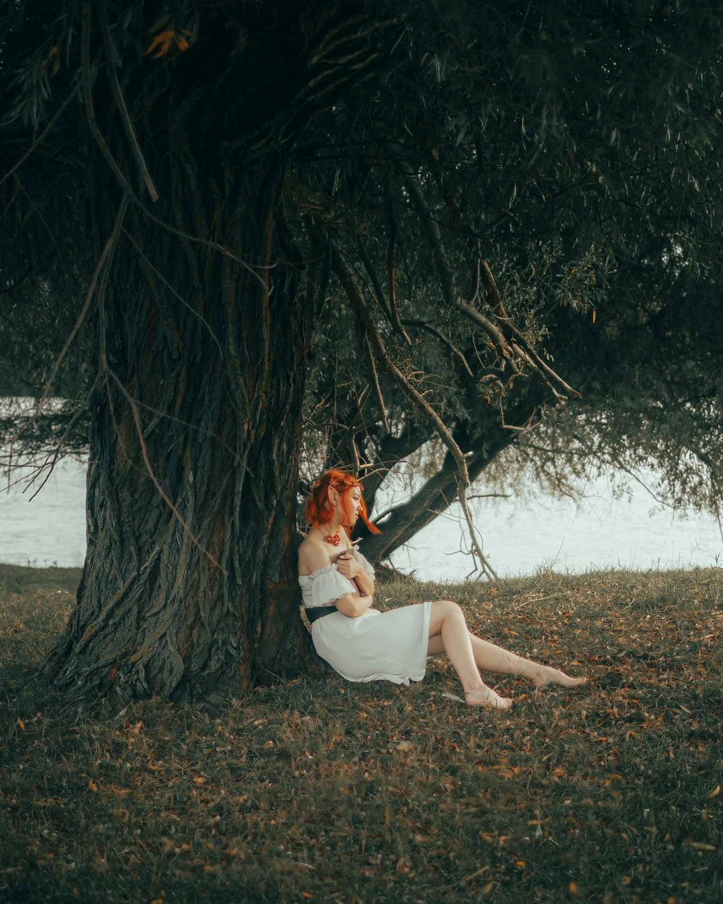 Forest & Flora