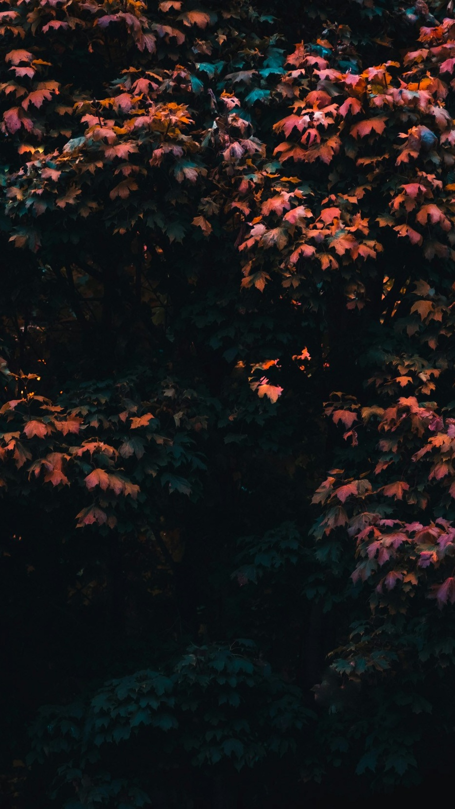 Wallpapers