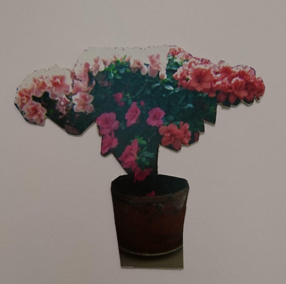 Cutout Potted Azalea Collage