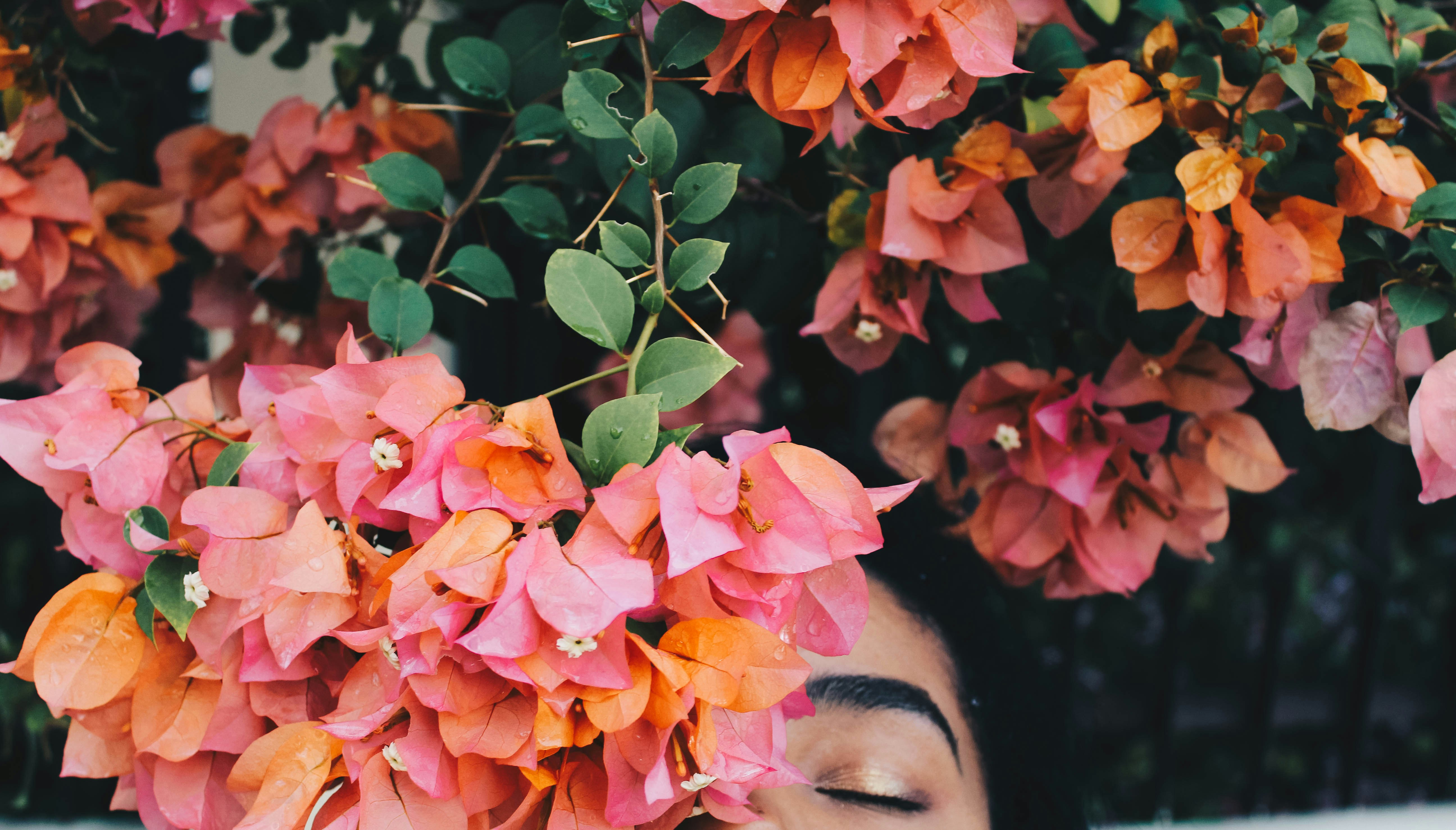 Woman Behind Bougainvillea Blooms