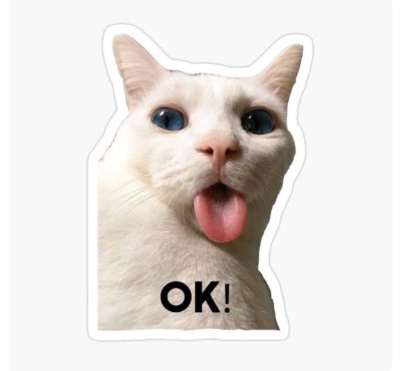 White Cat OK Meme Sticker