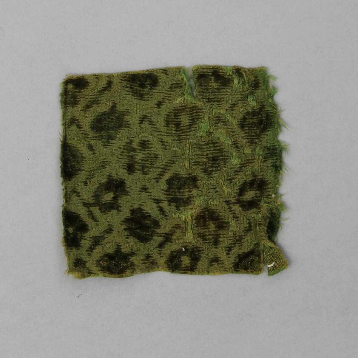 Antique Green Patterned Velvet Fragment