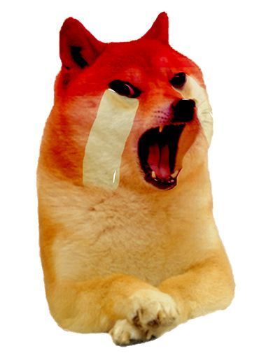 Crying Red Shiba Inu Doge Meme