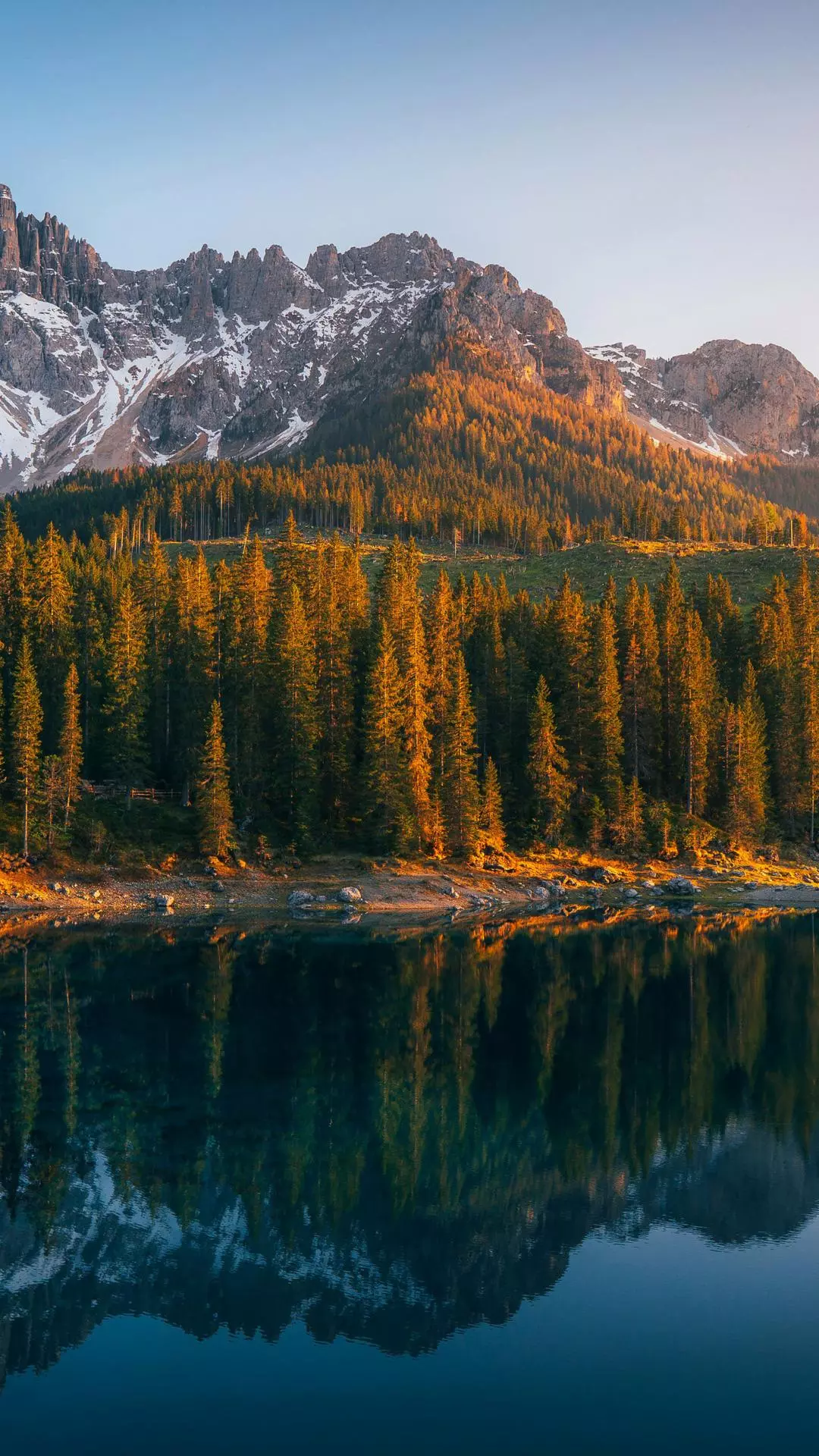 Wallpapers