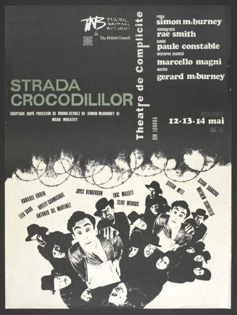 Strada Crocodililor Theater Poster