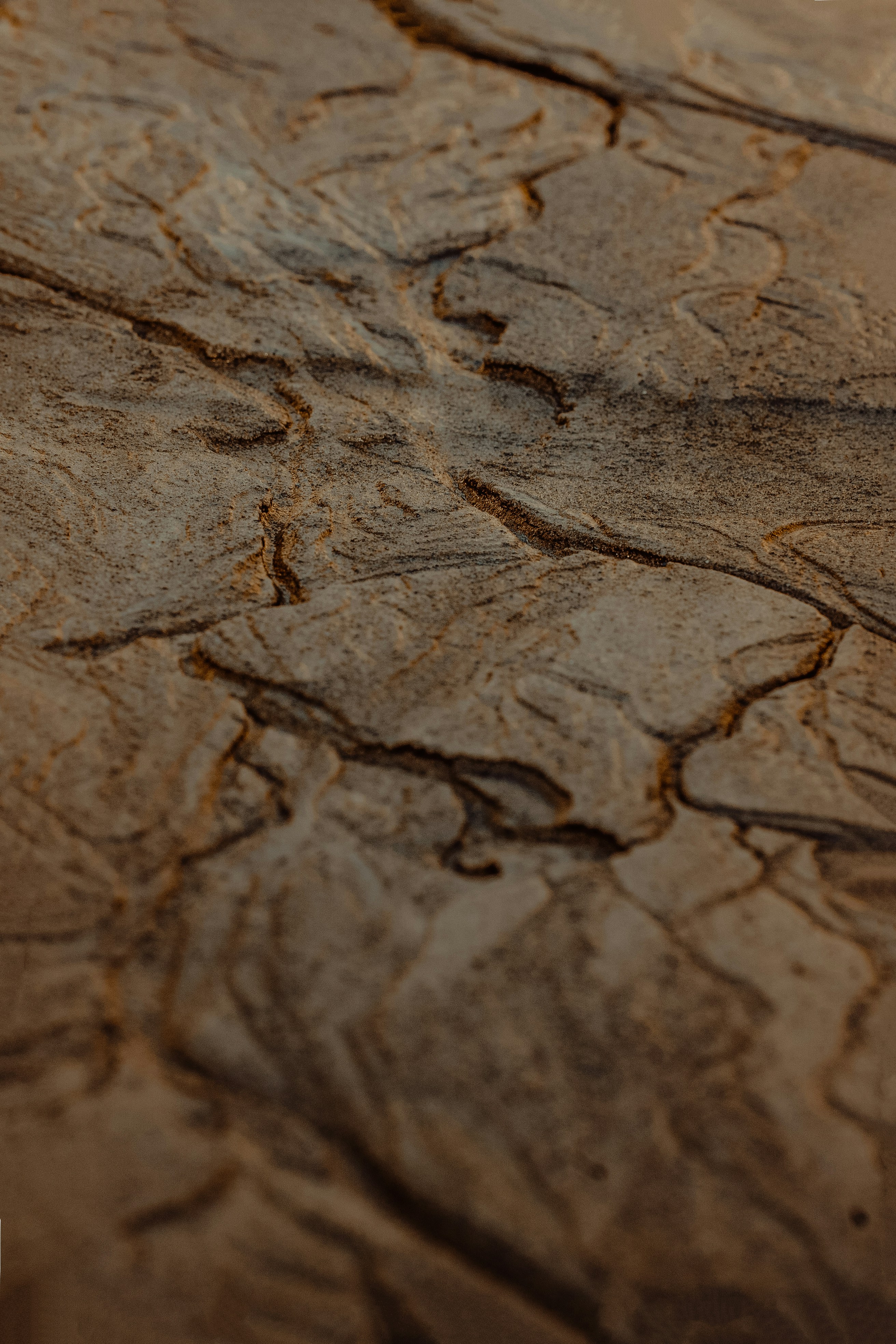 Cracked Dry Earth Close-up