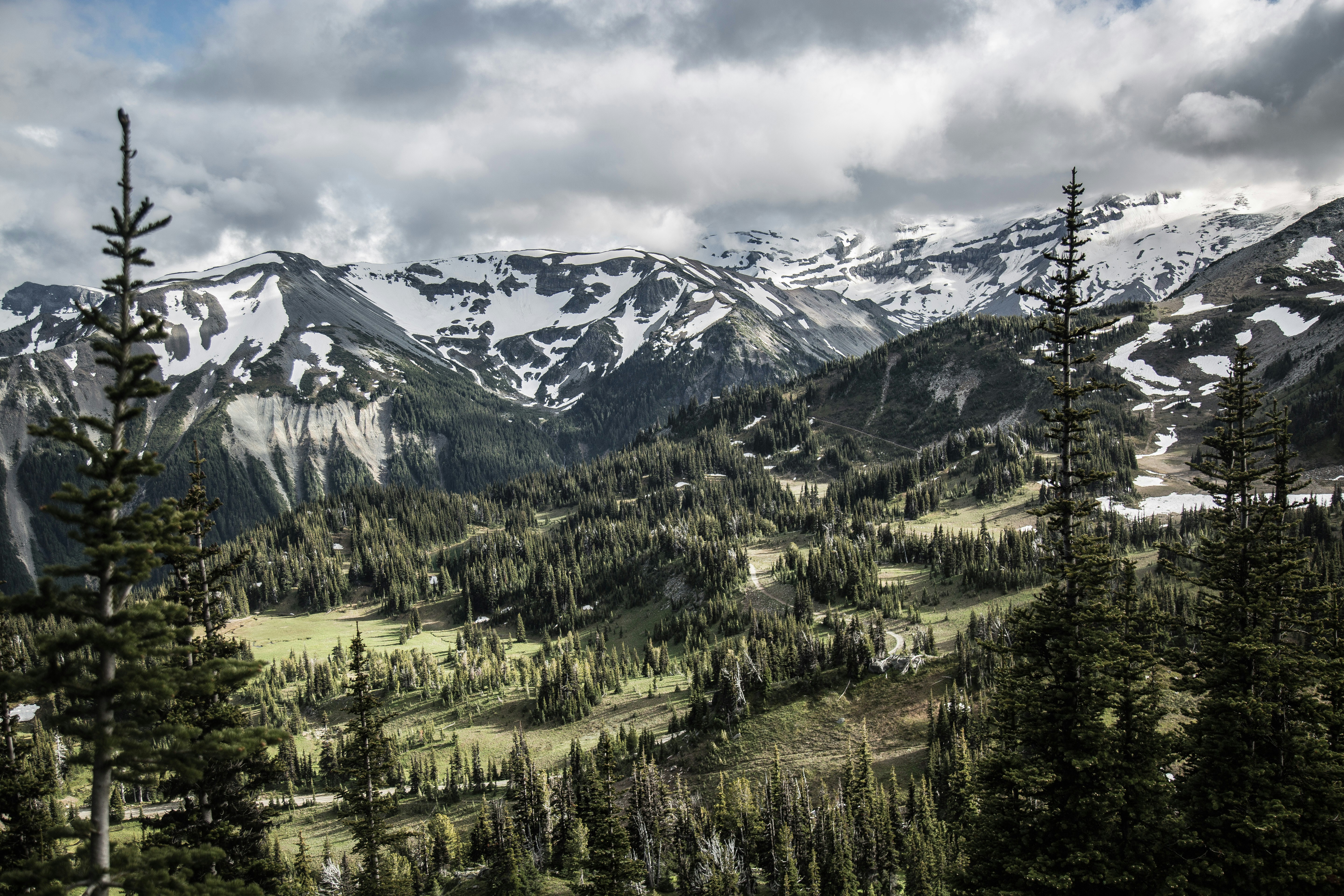 Snow-capped Mountain Forest Landscape