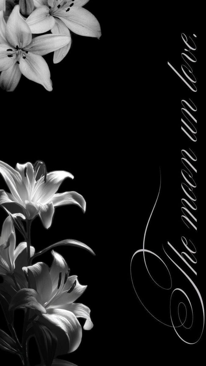 Wallpapers