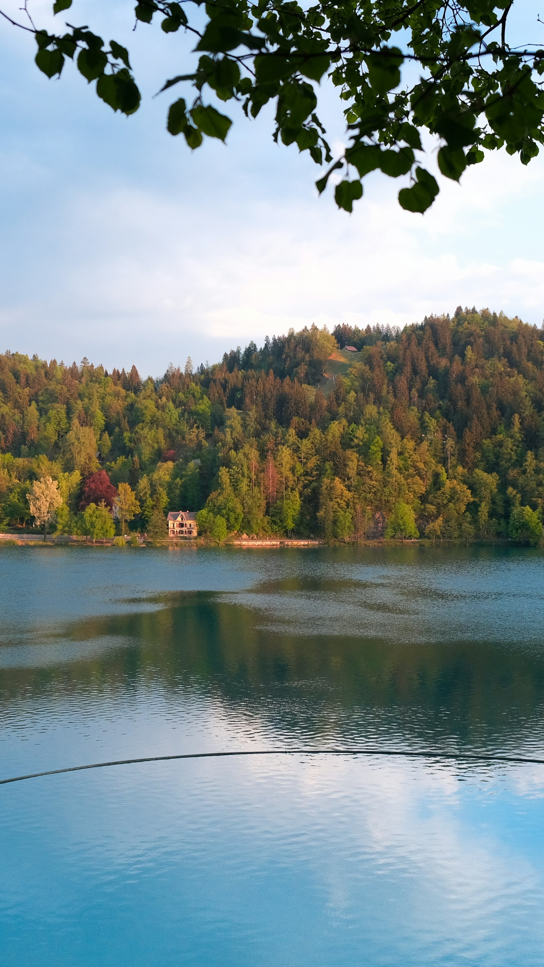 Landscapes