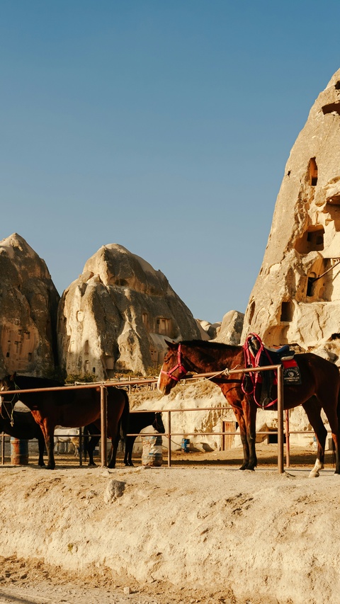 Horses Tied Near Ancient Rock Dwellings