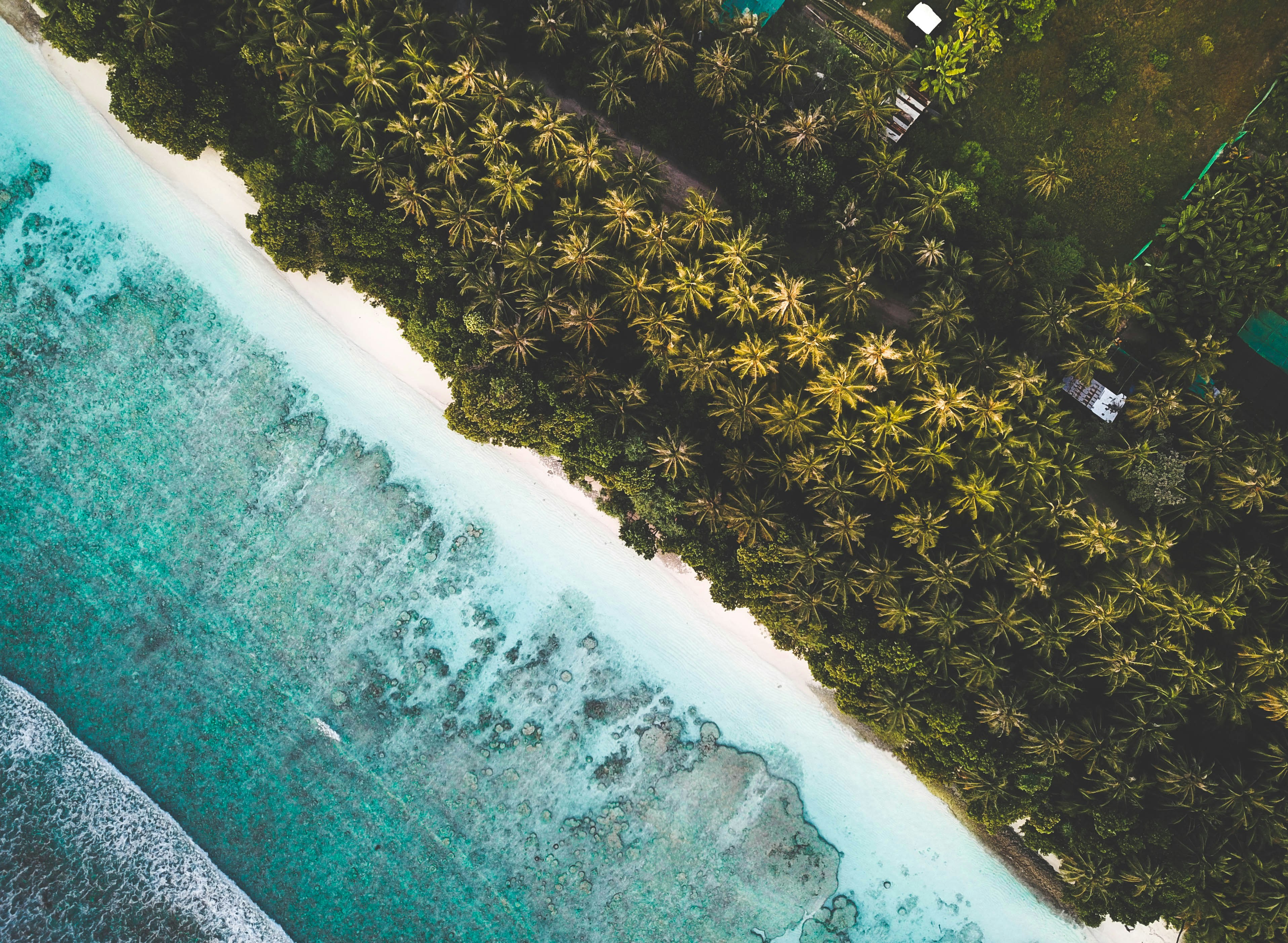 Aerial View of Tropical Beach