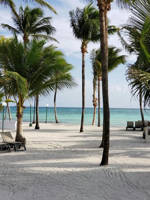 Tropical White Sand Beach