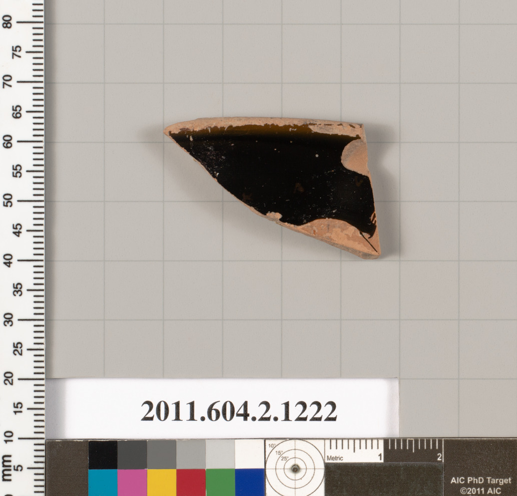 Ancient Pottery Fragment Specimen