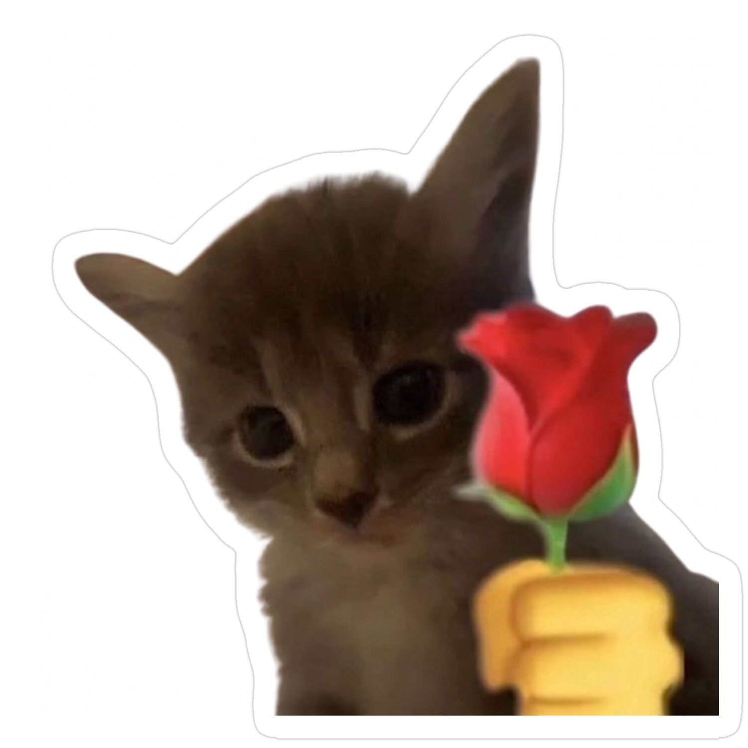 Kitten Offering a Red Rose