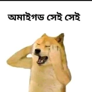 Crying Shiba Inu Bangla Meme