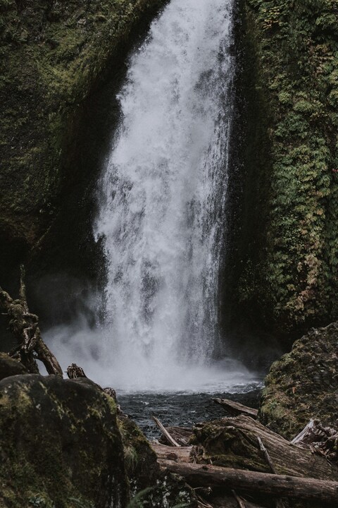 Lush Forest Waterfall