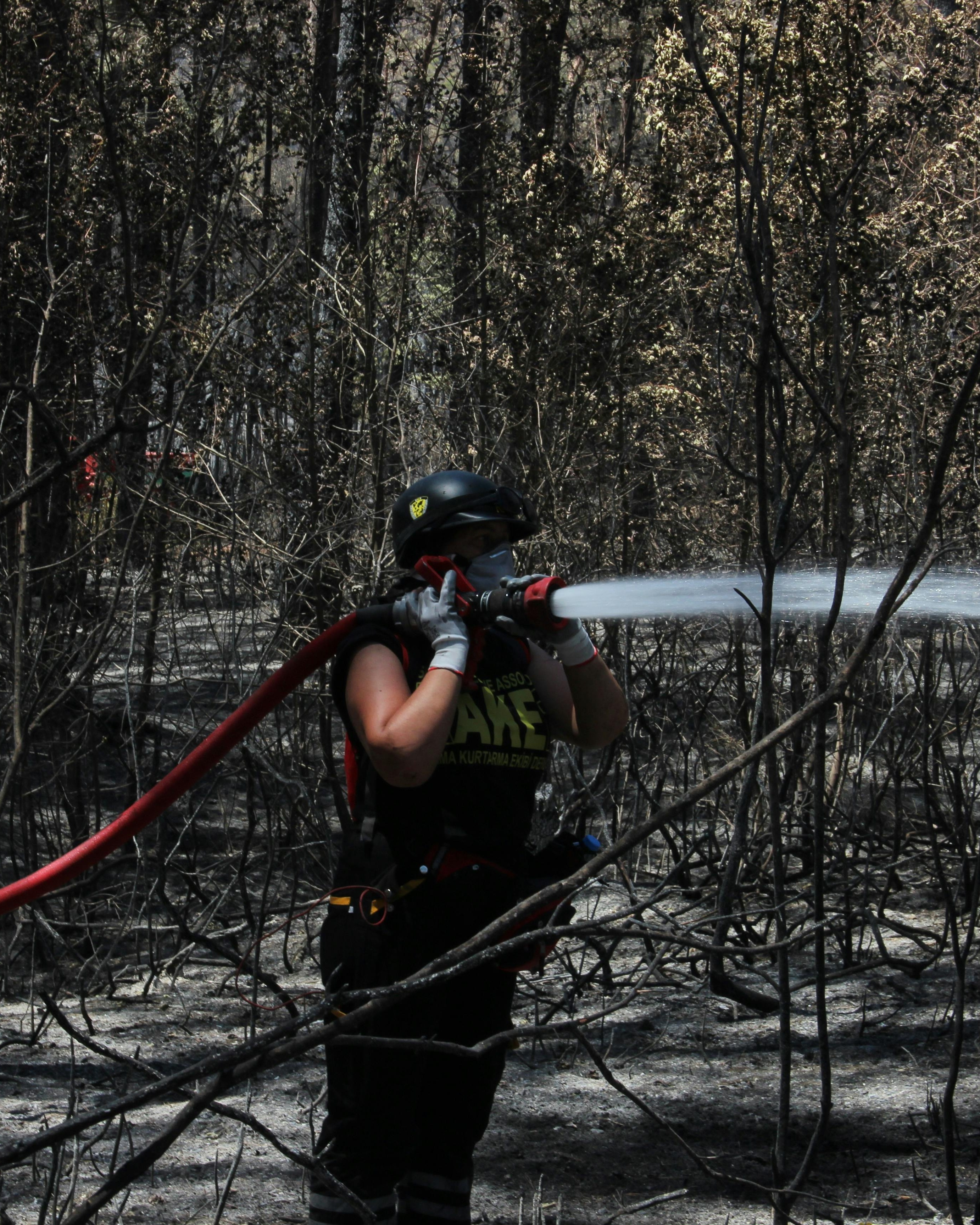 Firefighter Extinguishing Forest Wildfire