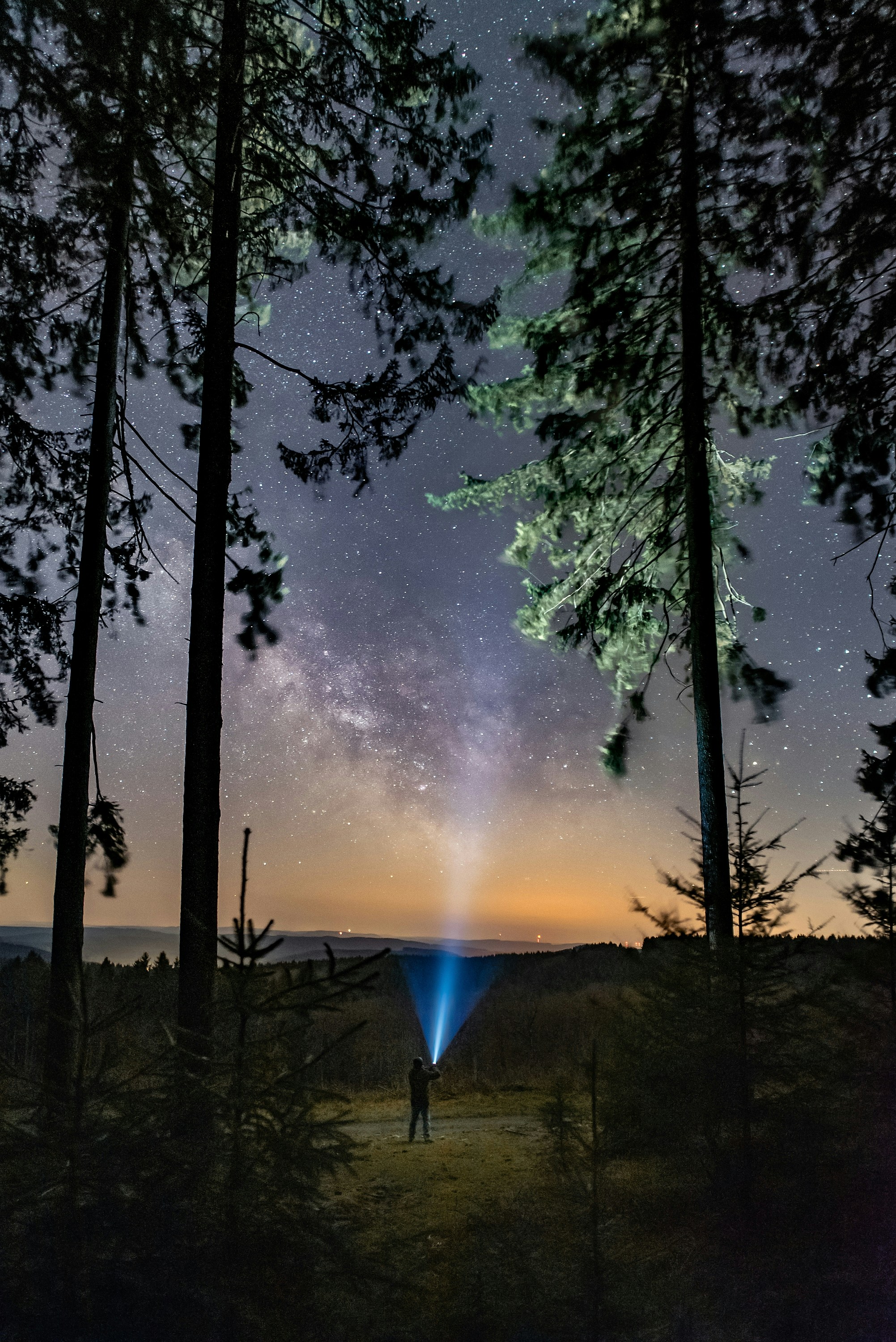Starry Sky In Forest With Flashlight