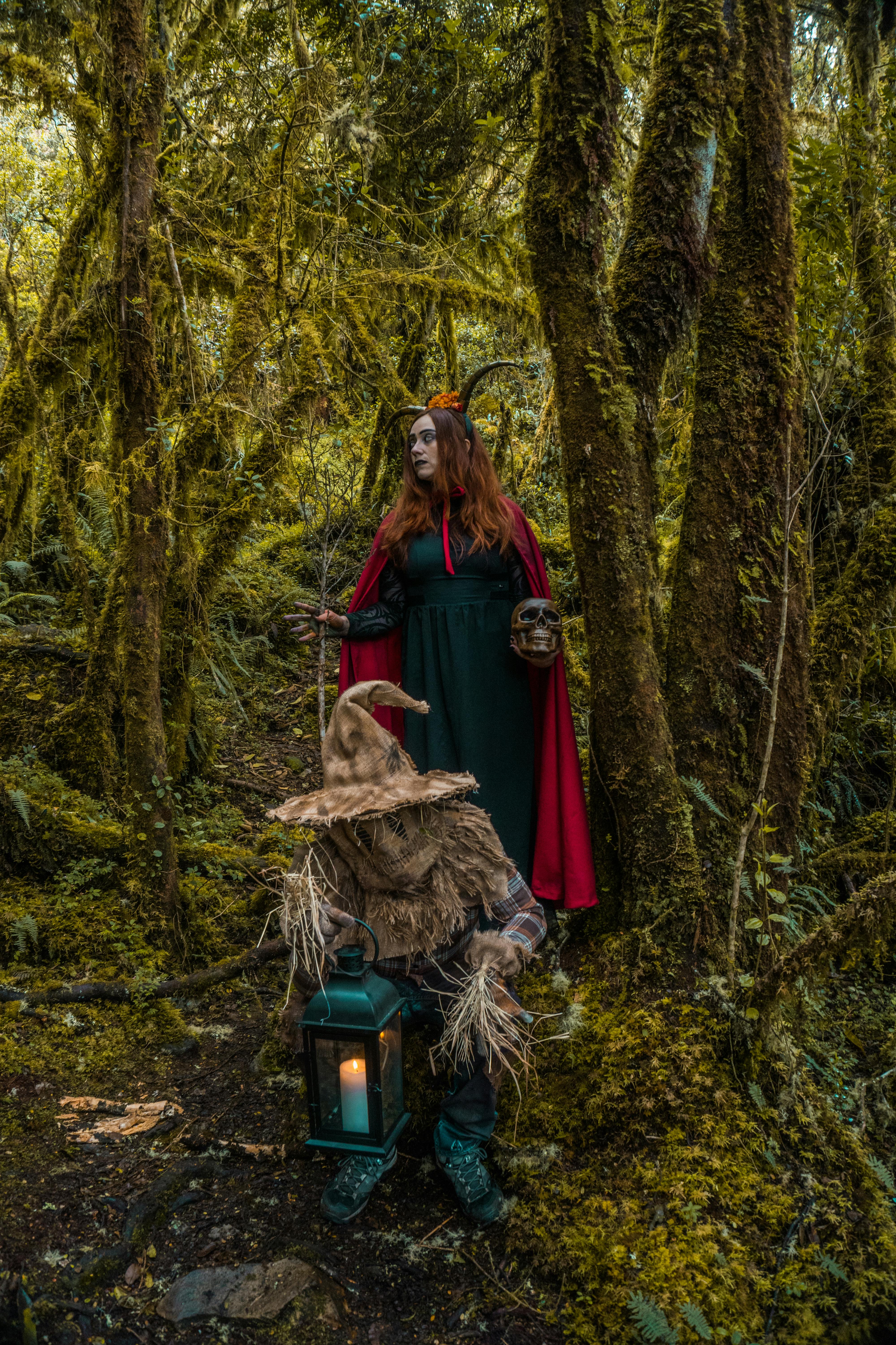 Forest & Flora
