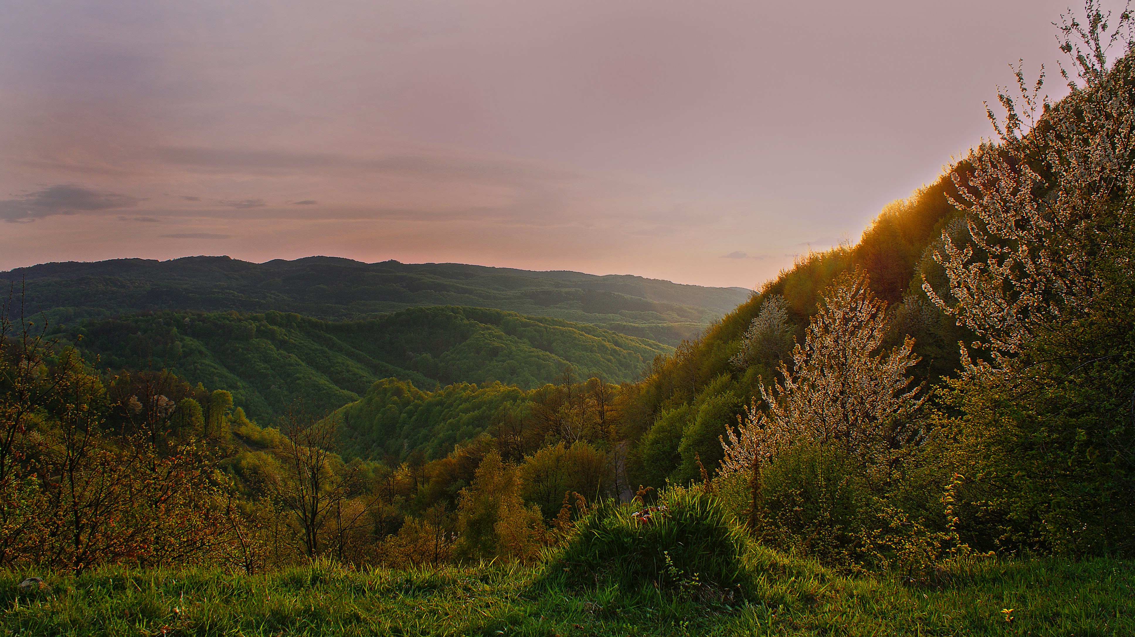 Sunset Over Forested Mountain Valley