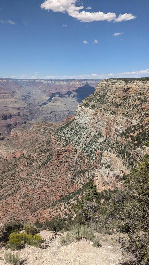 Grand Canyon Rim View