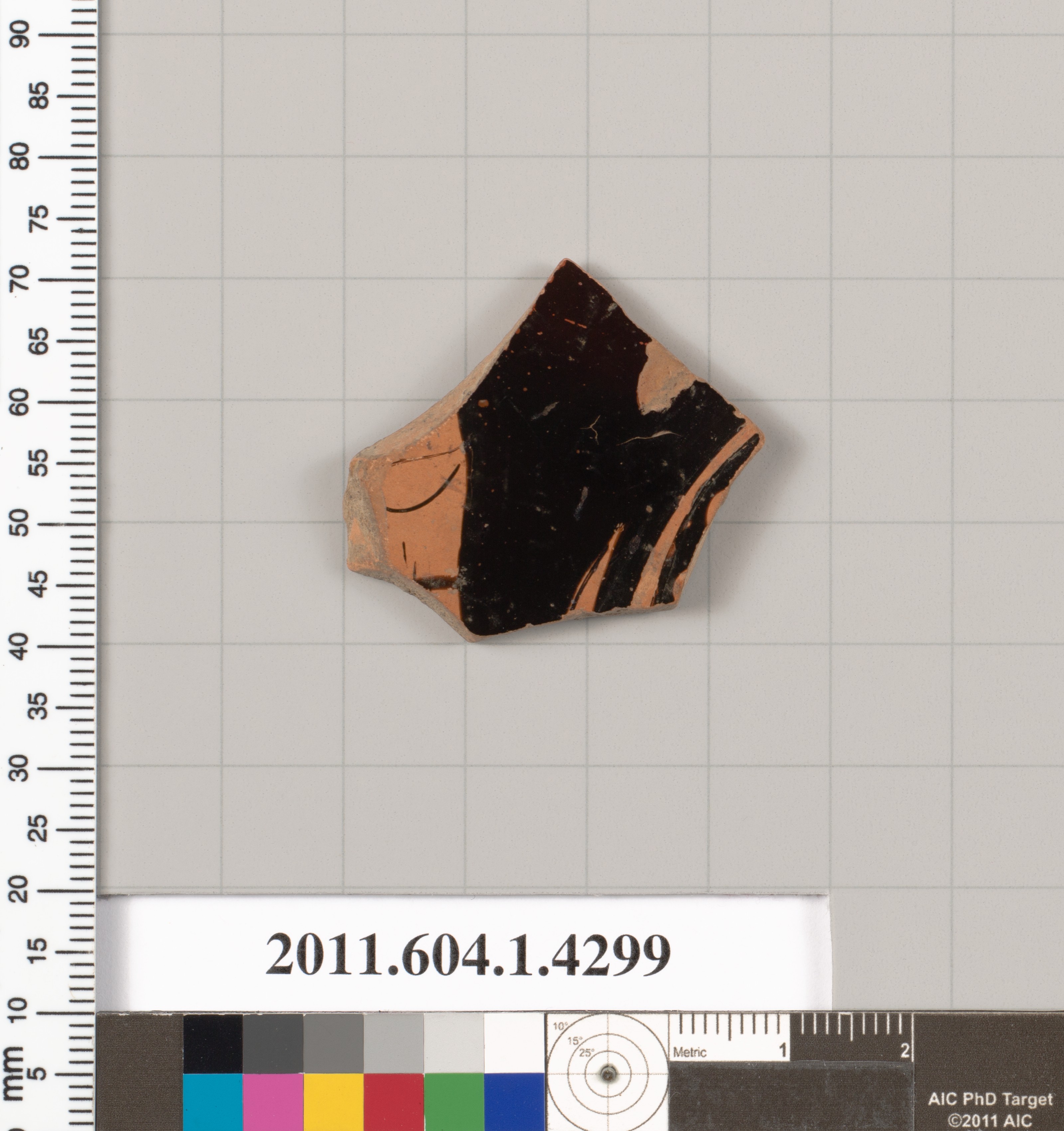 Ancient Pottery Fragment Artifact