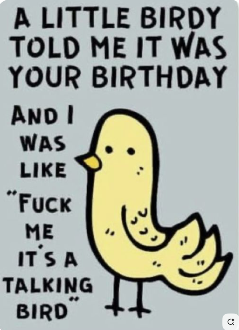 Funny Rude Birthday Greeting Card