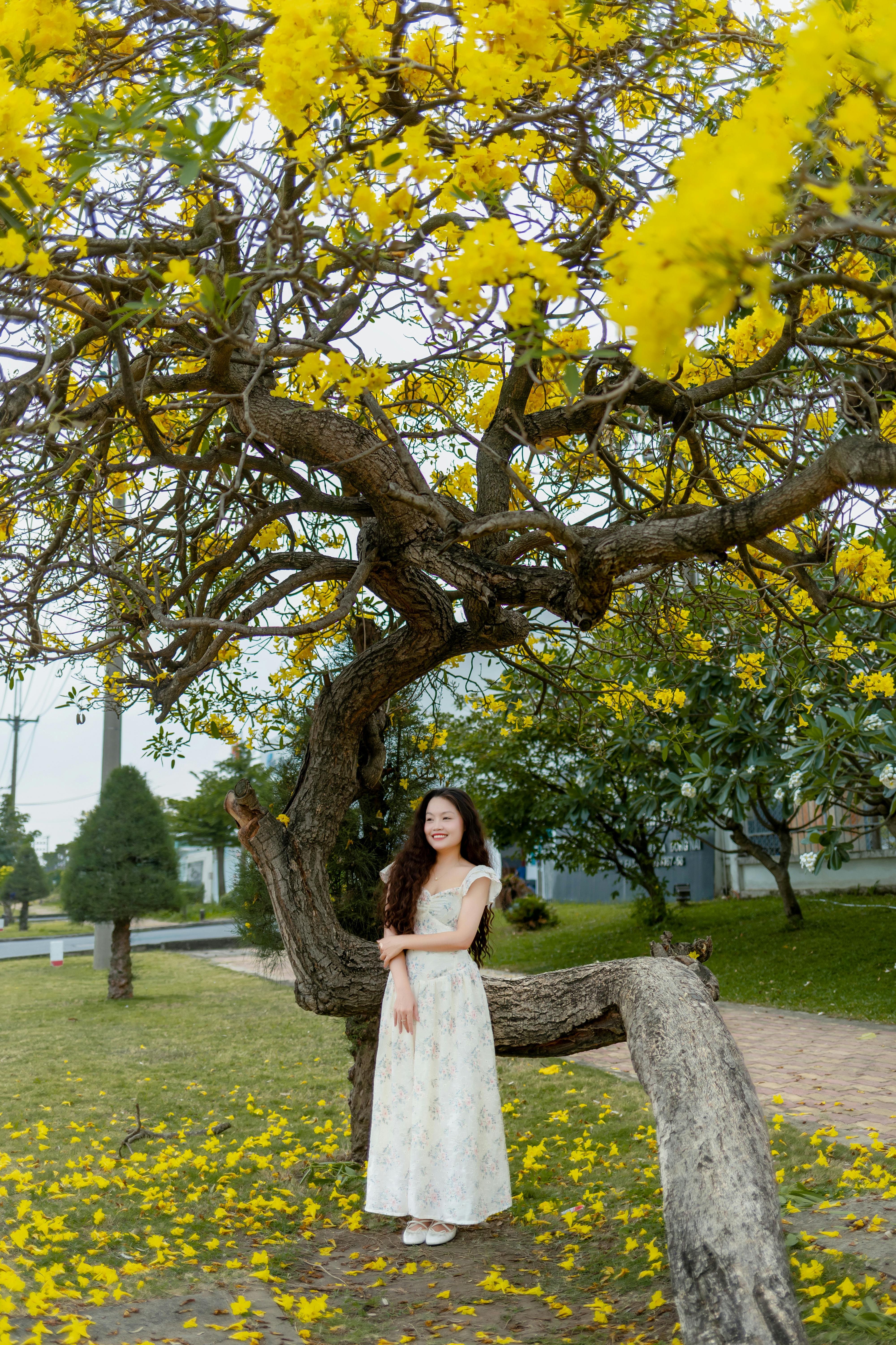 Image 1491152 — Beauty