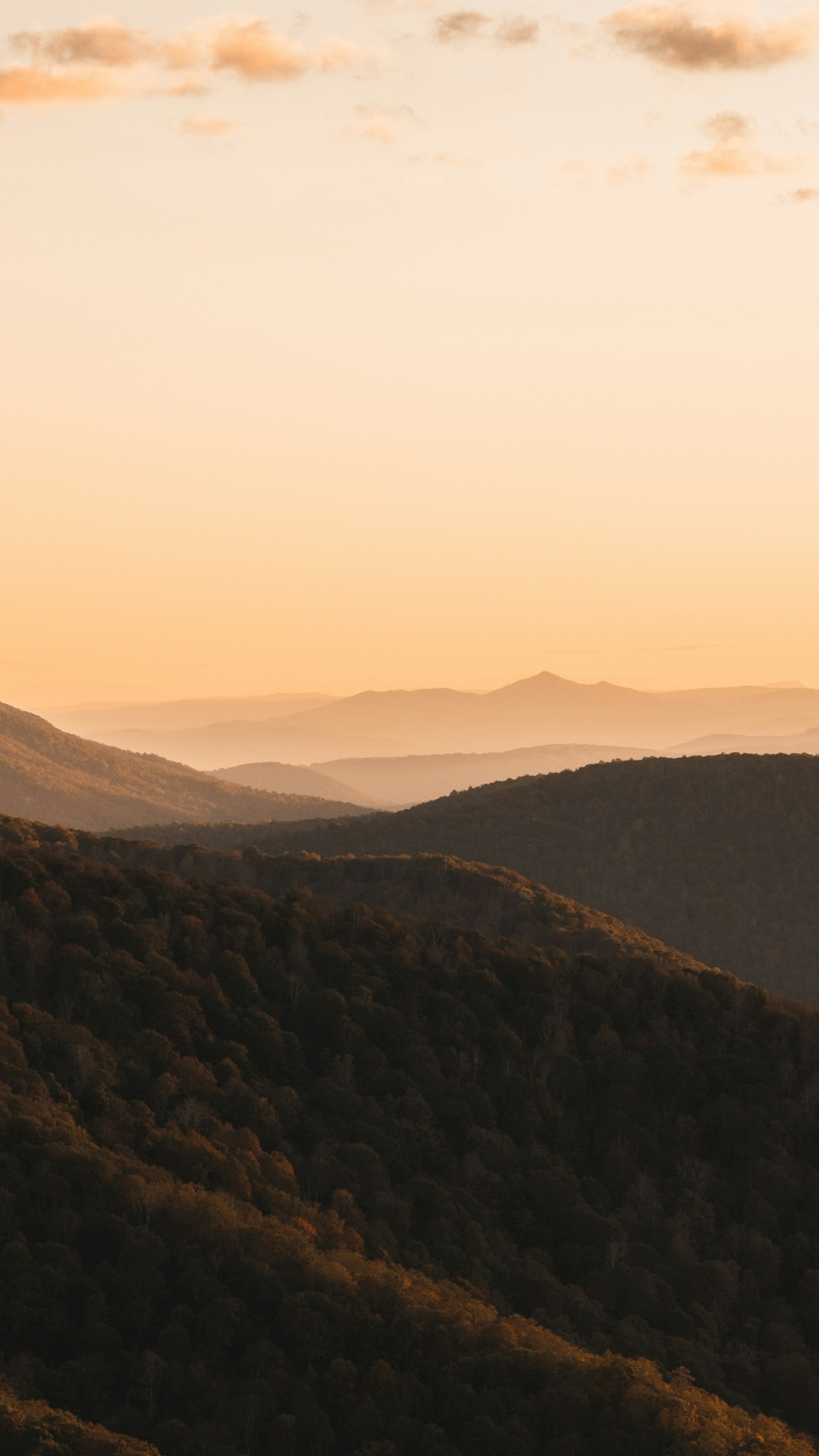Landscapes
