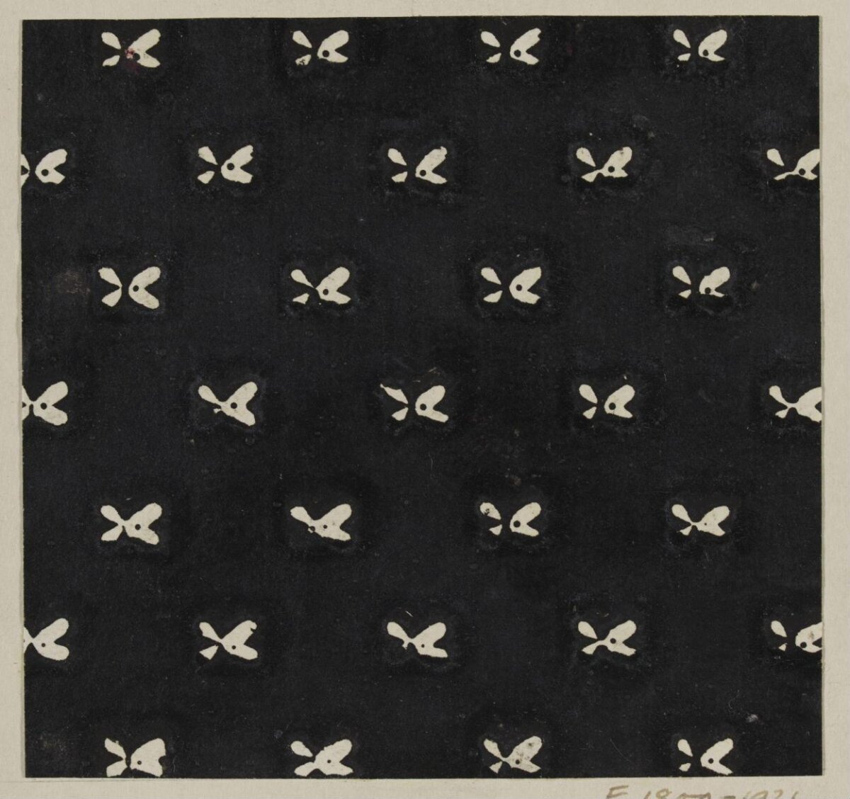 Repeating White Butterfly Pattern on Black