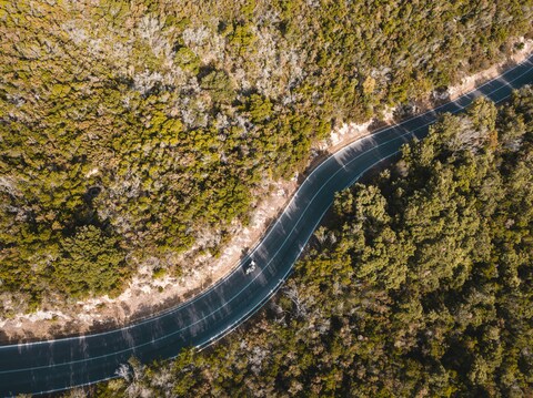Aerial View of Curved Road Through Forest