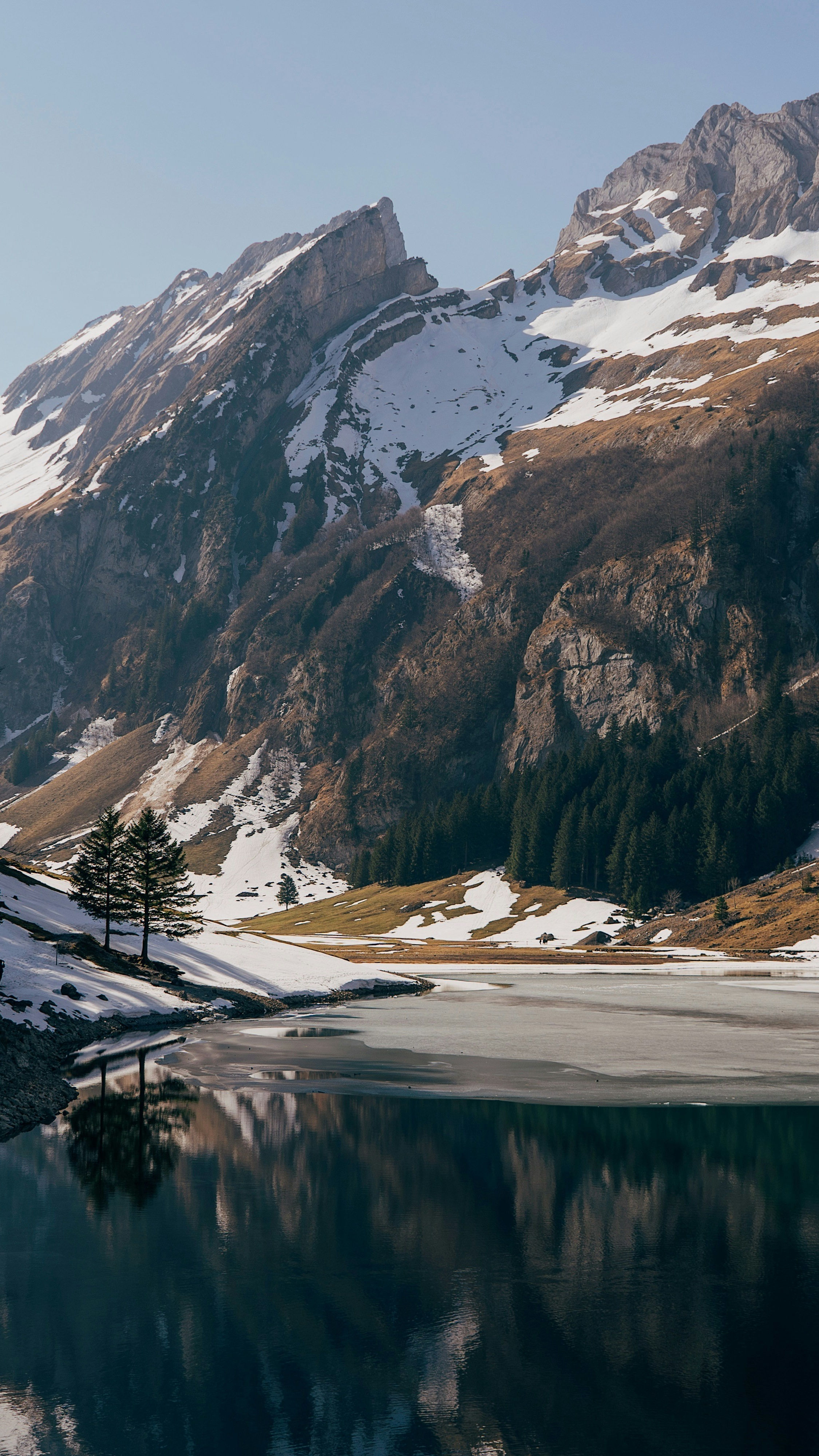 Wallpapers