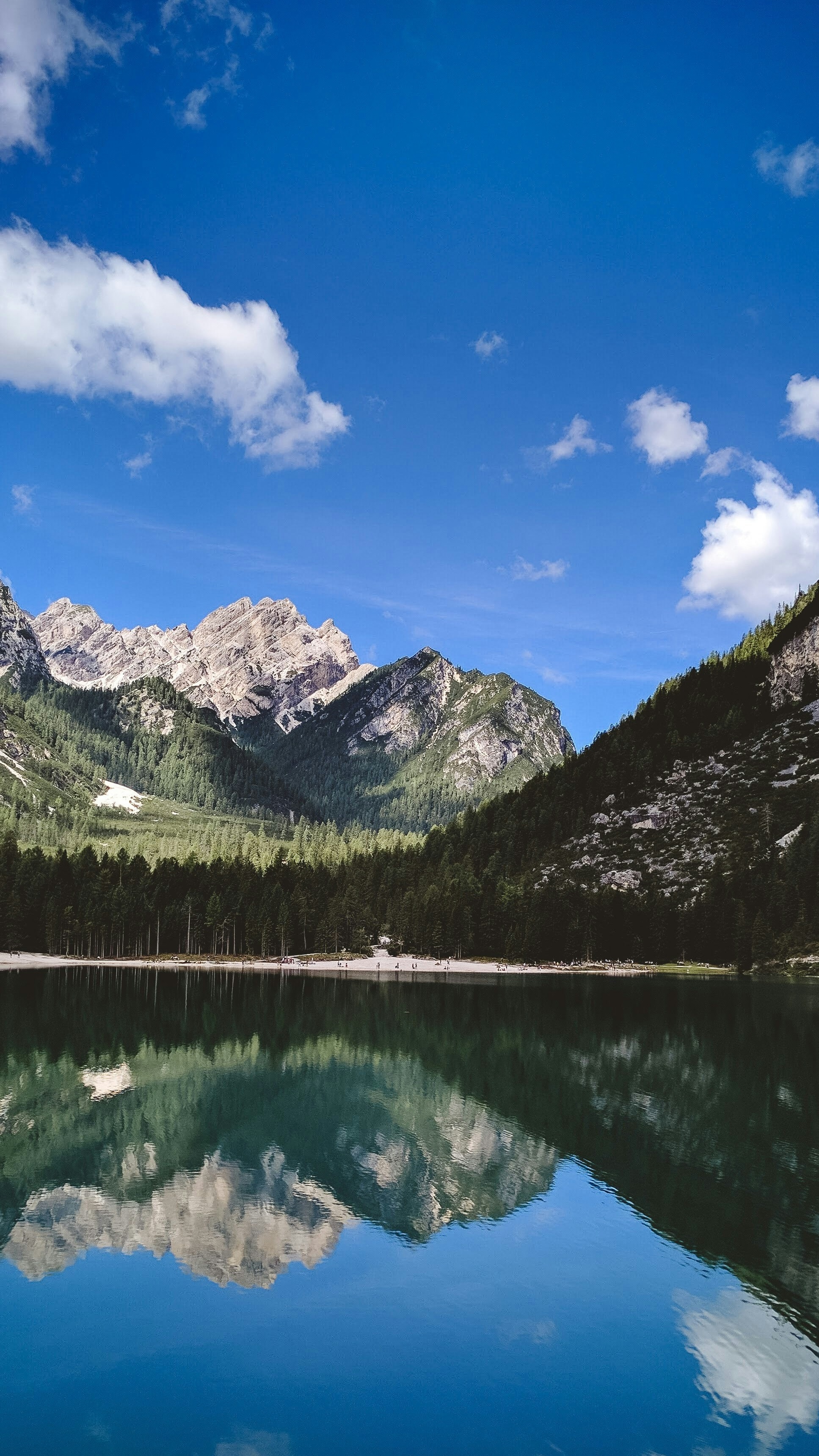 Wallpapers