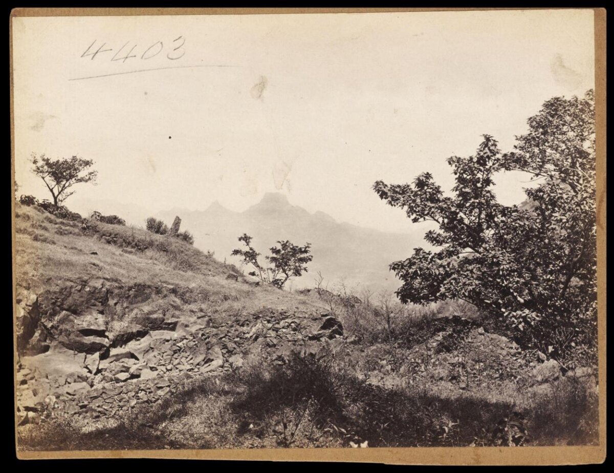 Vintage Hillside Mountain View