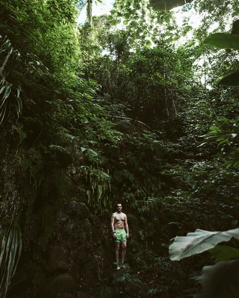 Man Standing in Tropical Rainforest