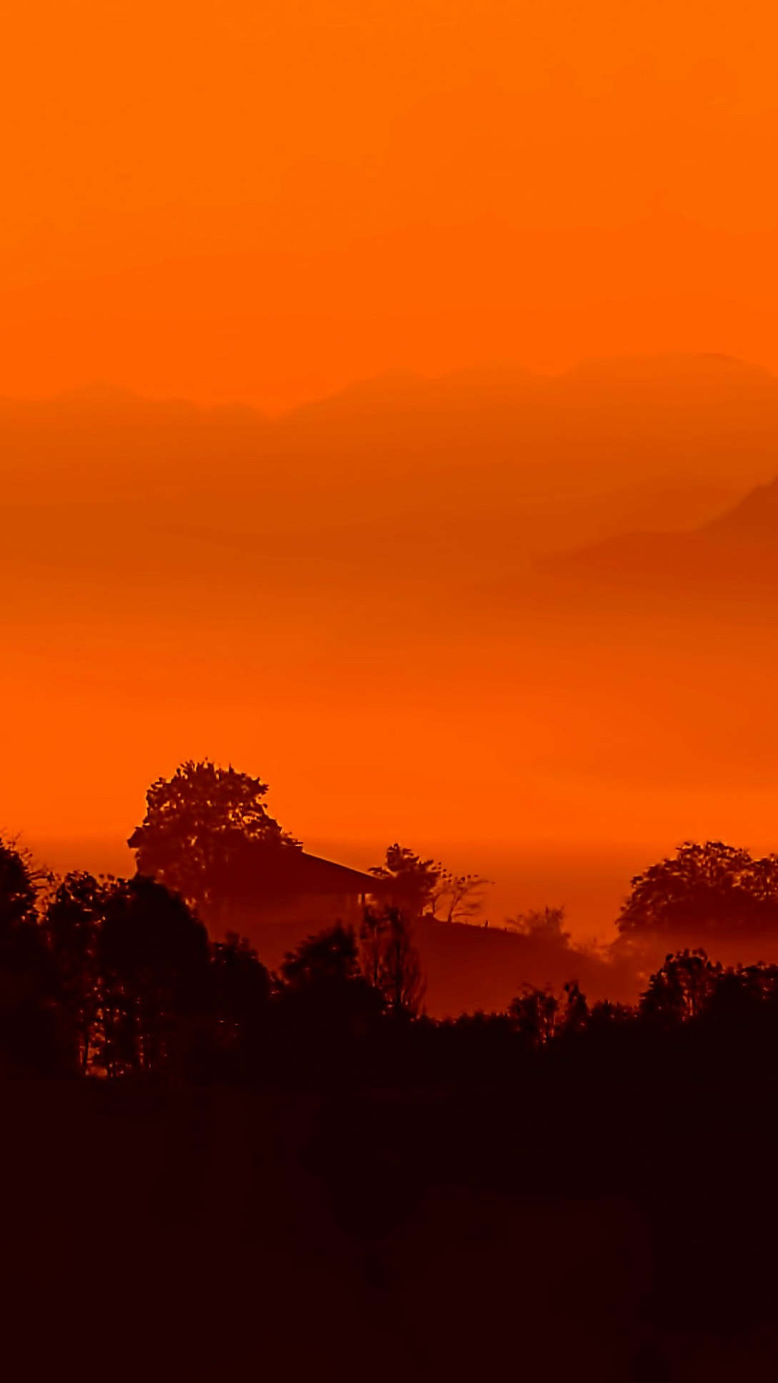 Landscapes