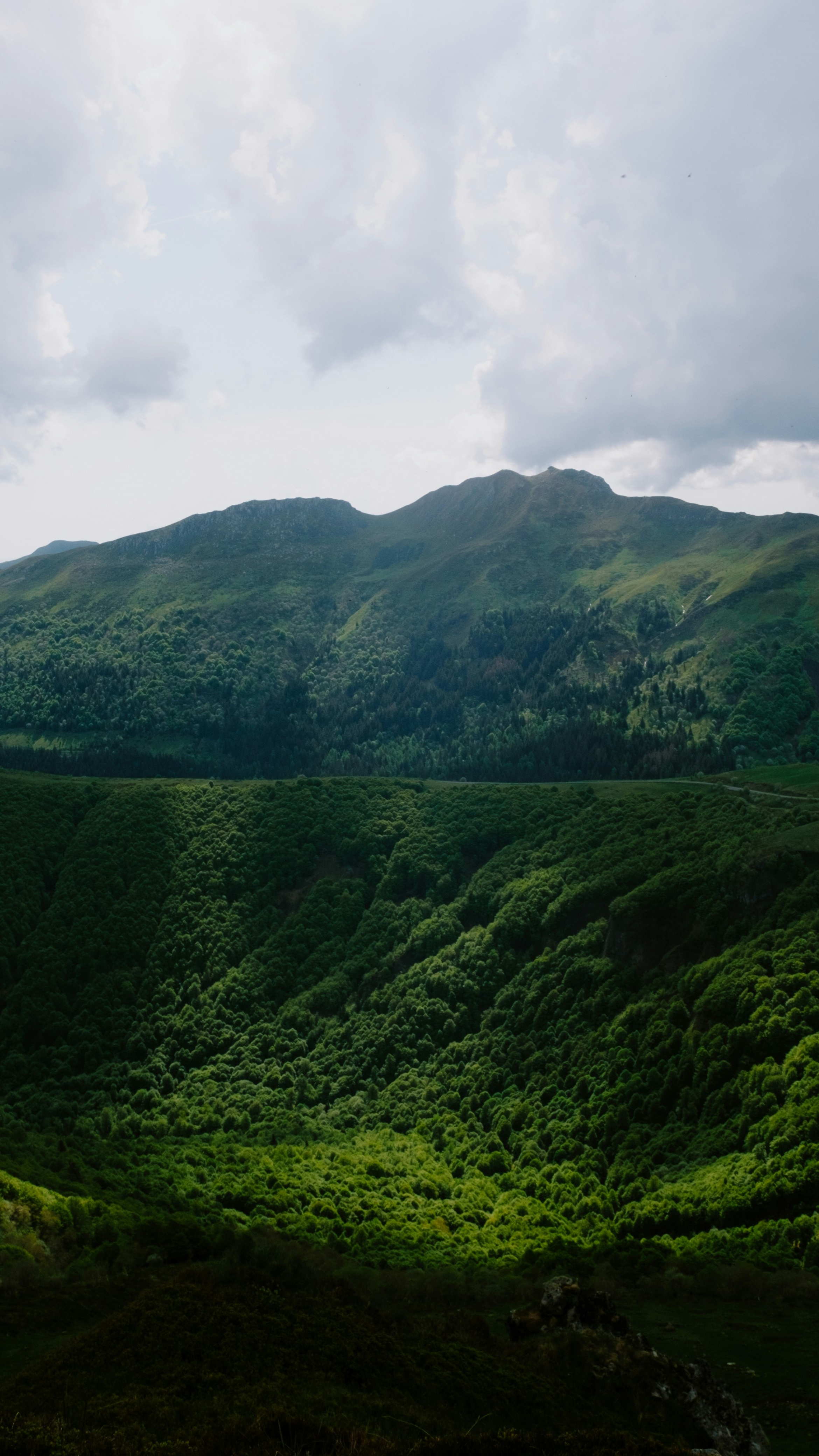 Landscapes