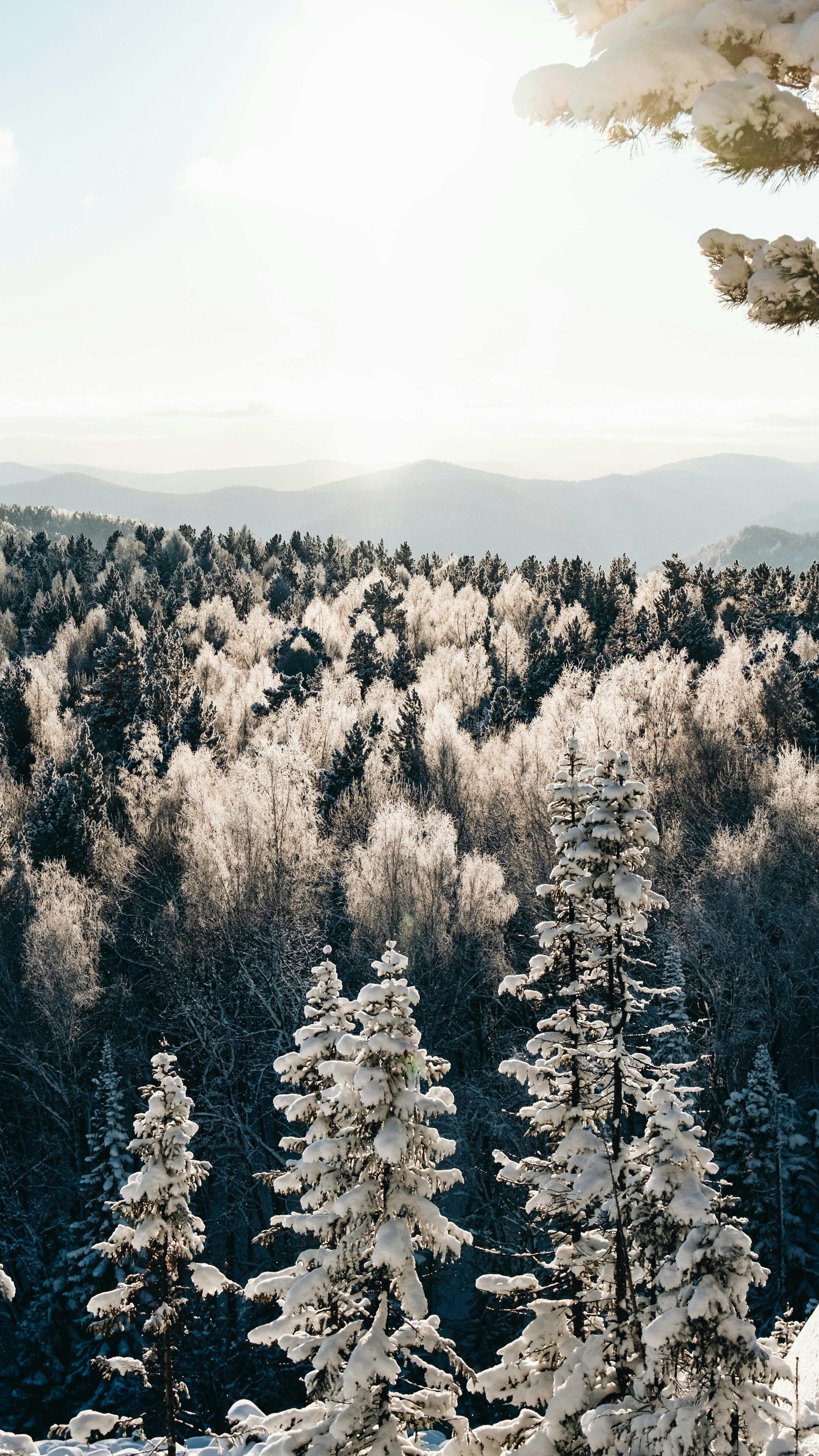 Wallpapers