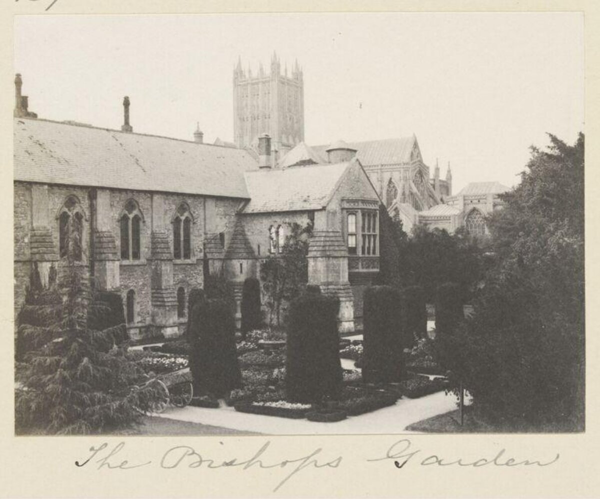 The Bishops Garden and Cathedral