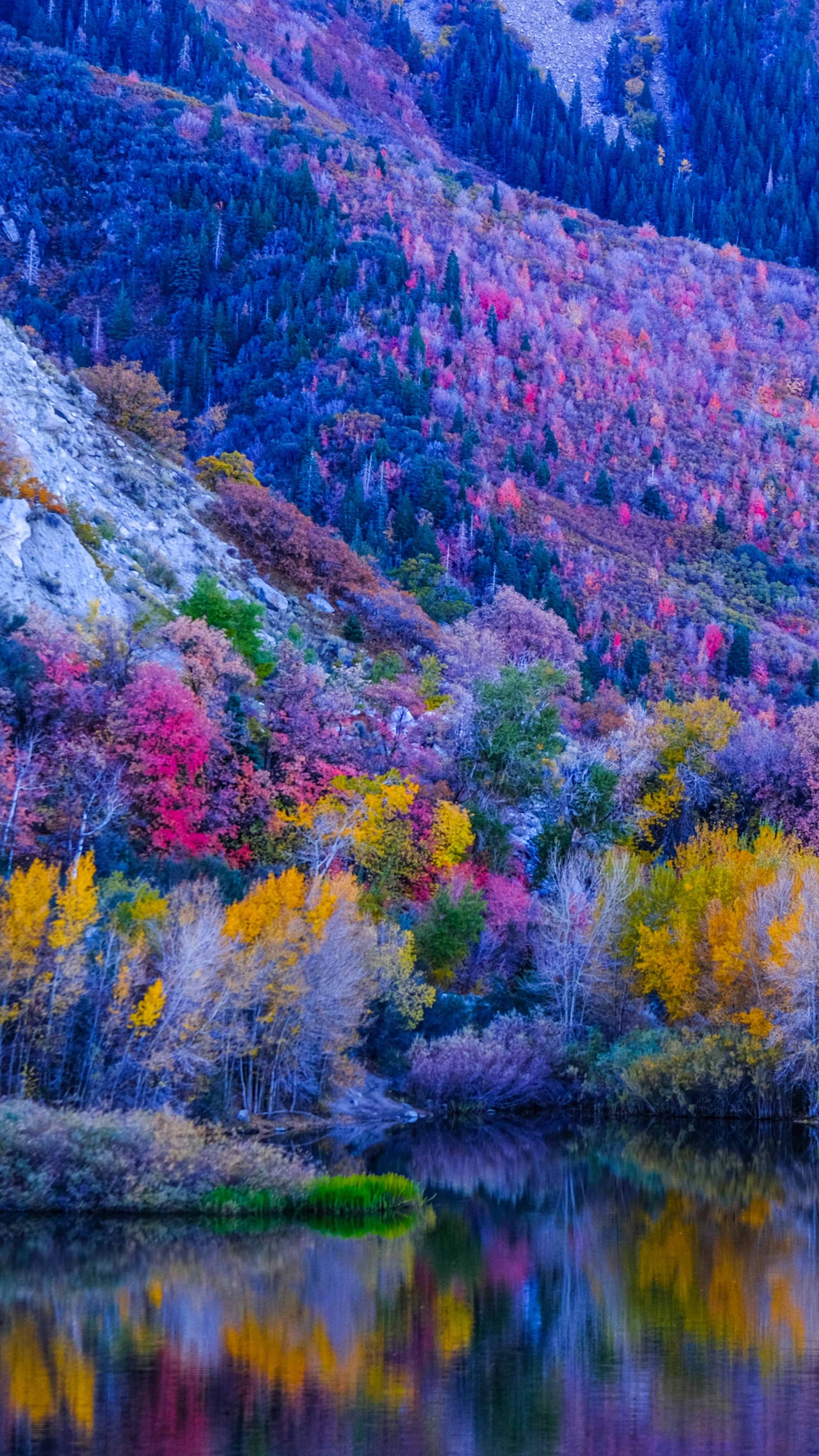 Autumn Mountain Lake Reflection