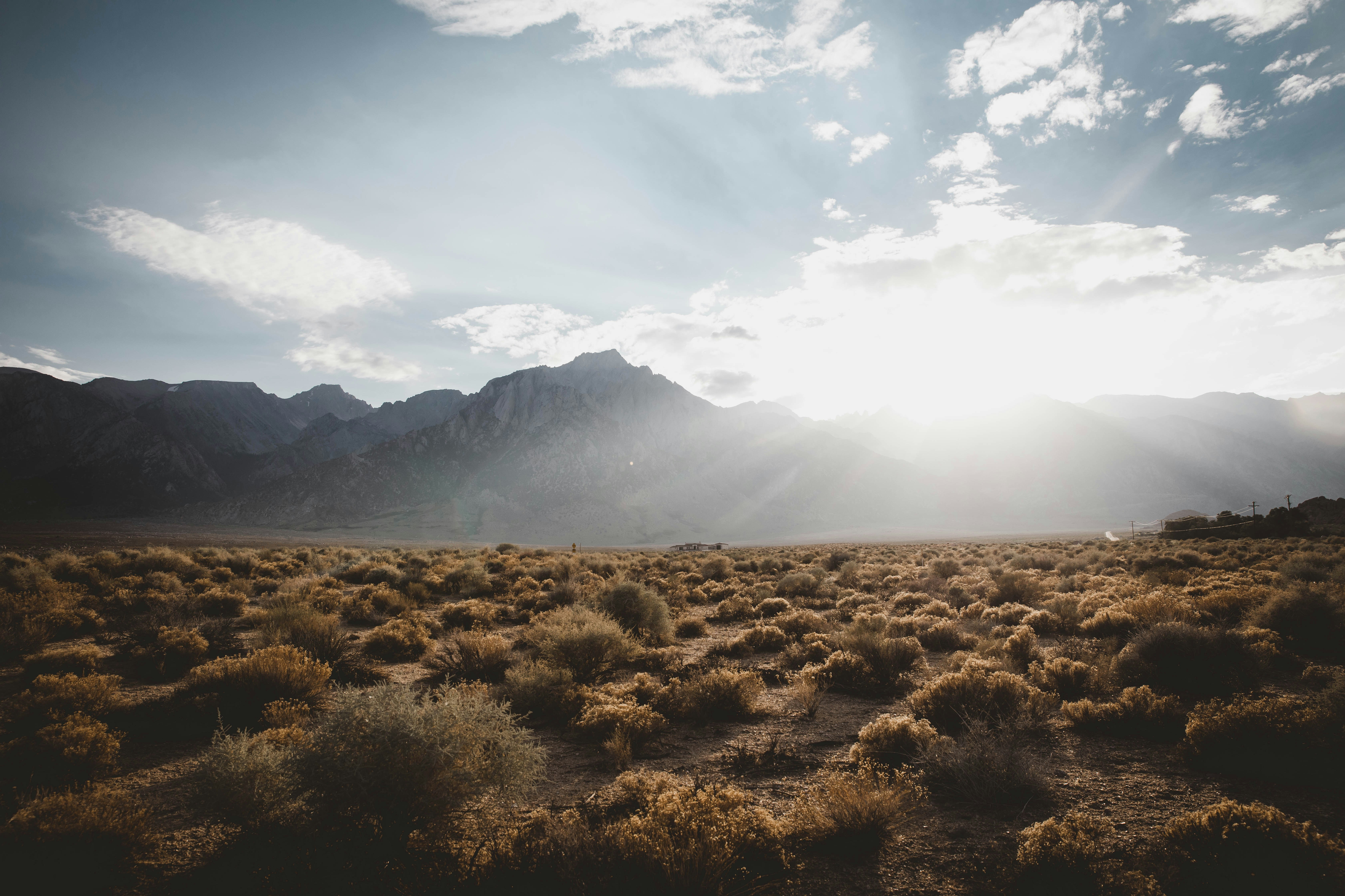 Sunlit Desert Plain with Mountains